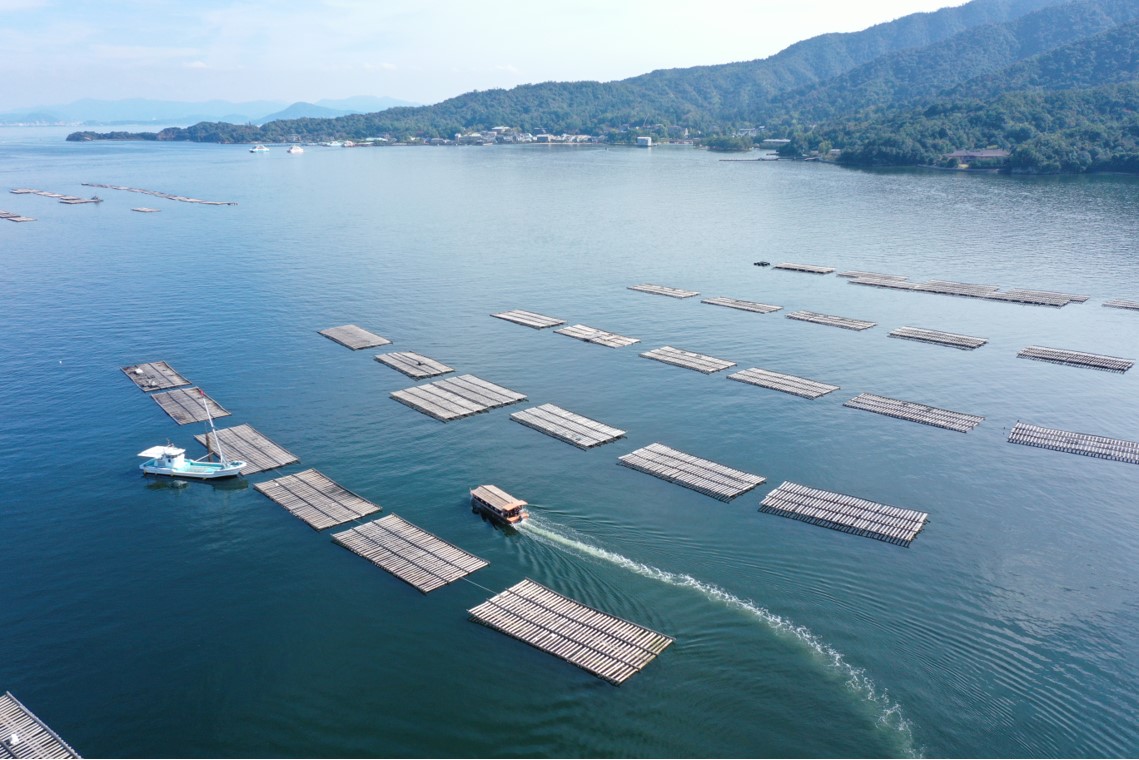 Oyster Lunch Cruise on the Seto Inland Sea Overlooking Miyajima