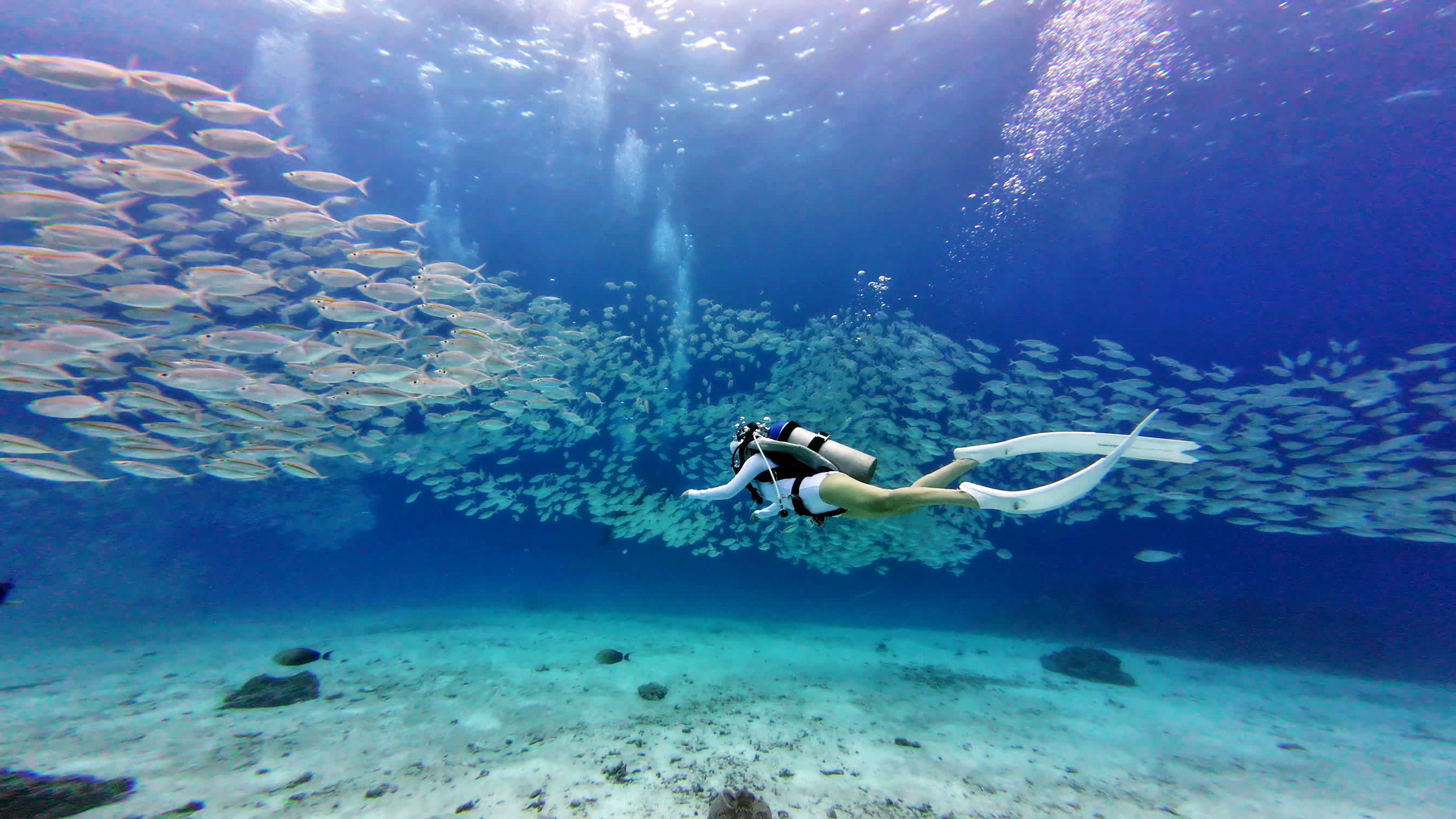 Phuket Scuba Diving Day Trip to Racha Yai & Racha Noi Islands