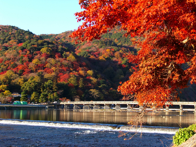 Arashiyama Train & Hozugawa River Rafting Day Tour from Osaka/ Kyoto