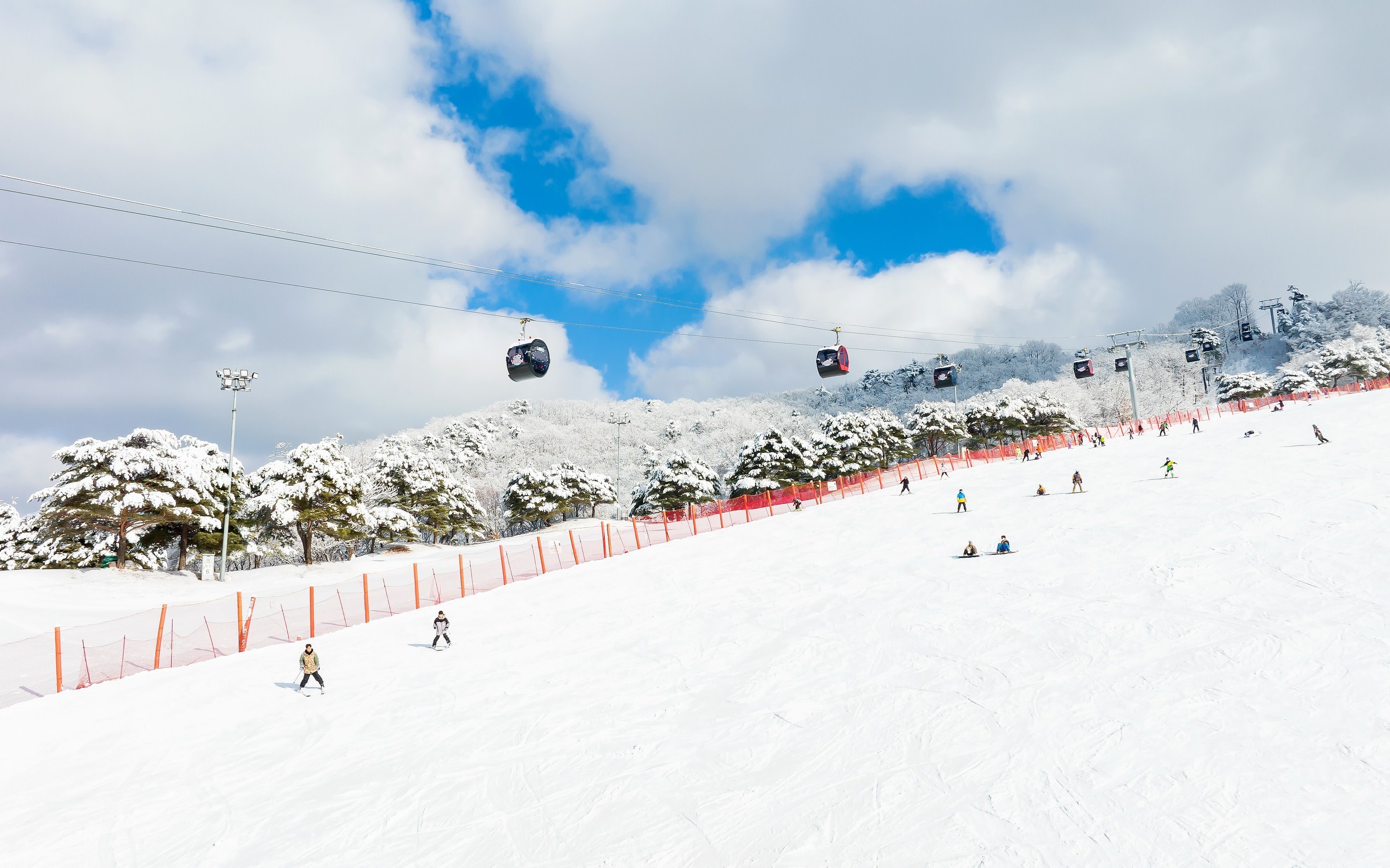 Nami Island Winter Highlights: Vivaldi Ski Resort Day Tour