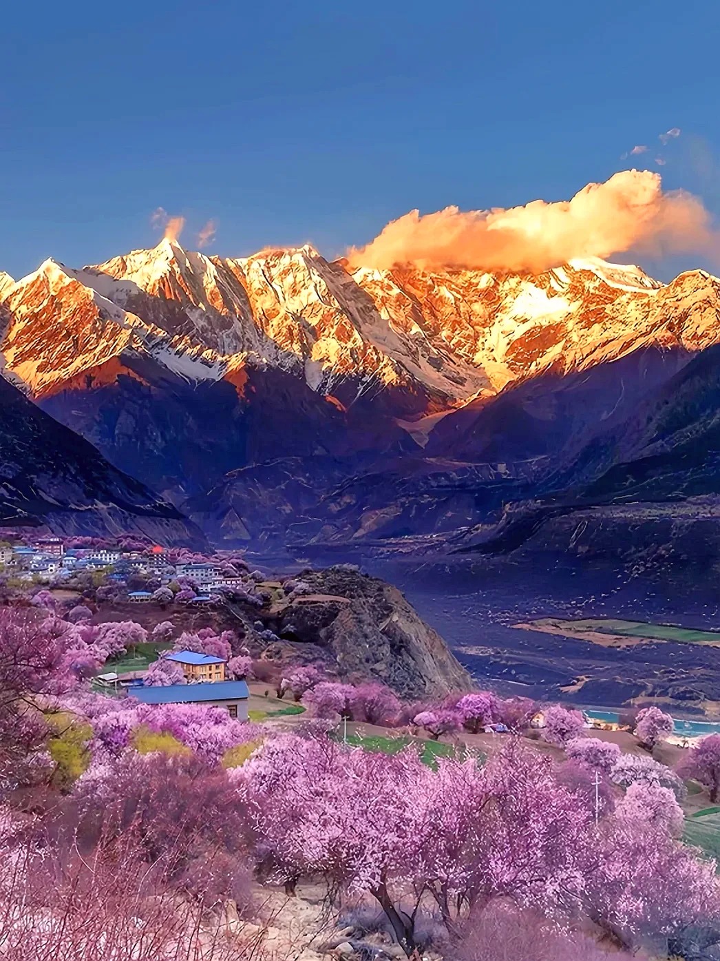 西藏林芝桃花6日（天后同款瑞吉/松贊系列+南迦巴瓦日照金山&平措康桑雪裡酒店+嘎拉桃花村+索松村+卡若拉冰川+私導講解布達拉宮大昭寺）