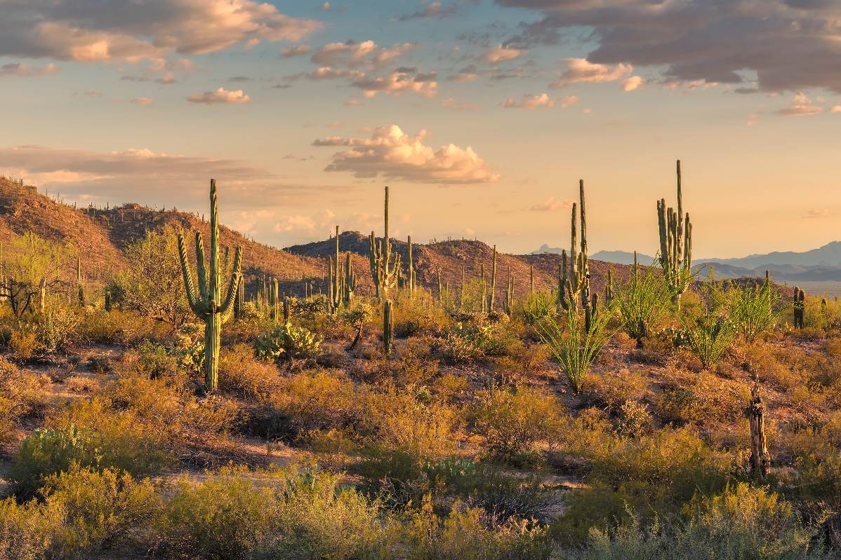 Enjoy a peaceful drive with majestic vistas and crisp mountain air