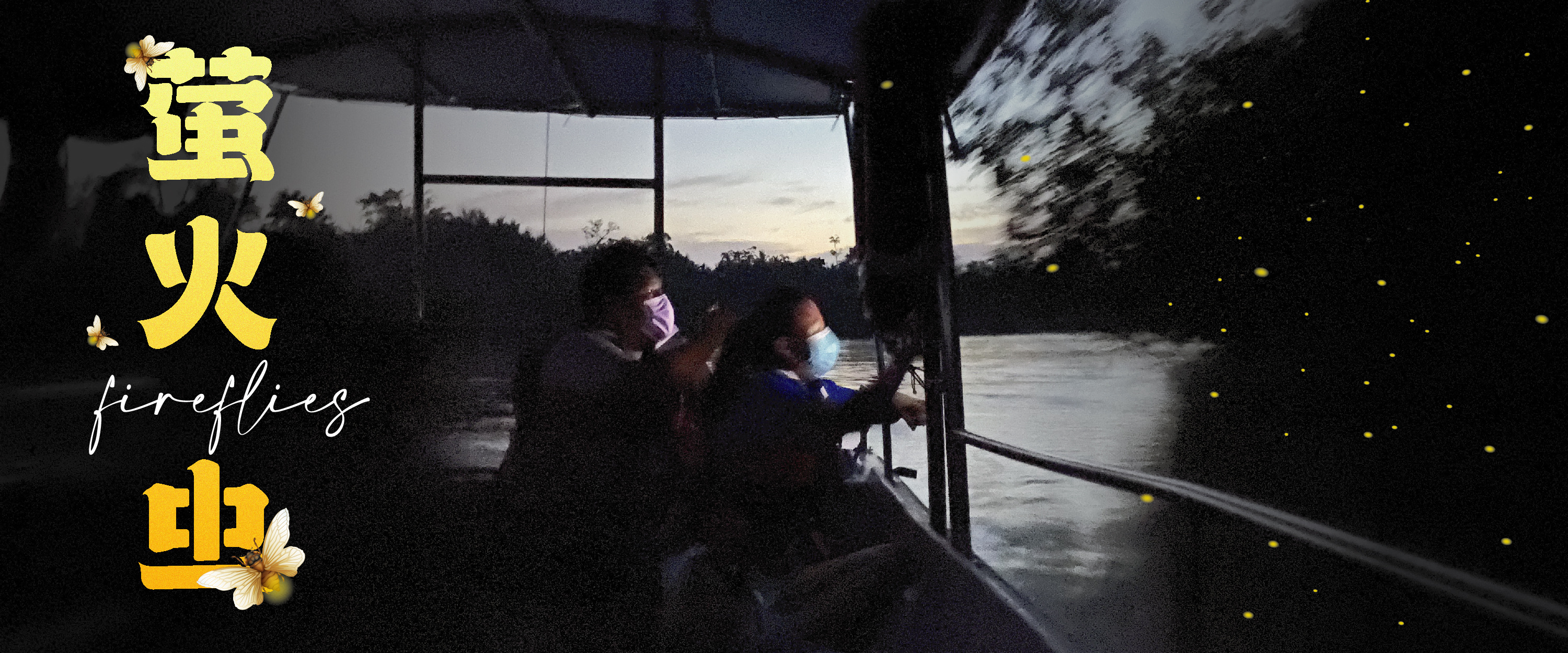 Kuala Selangor Eagle Feeding, Fireflies and Blue Tears Tour