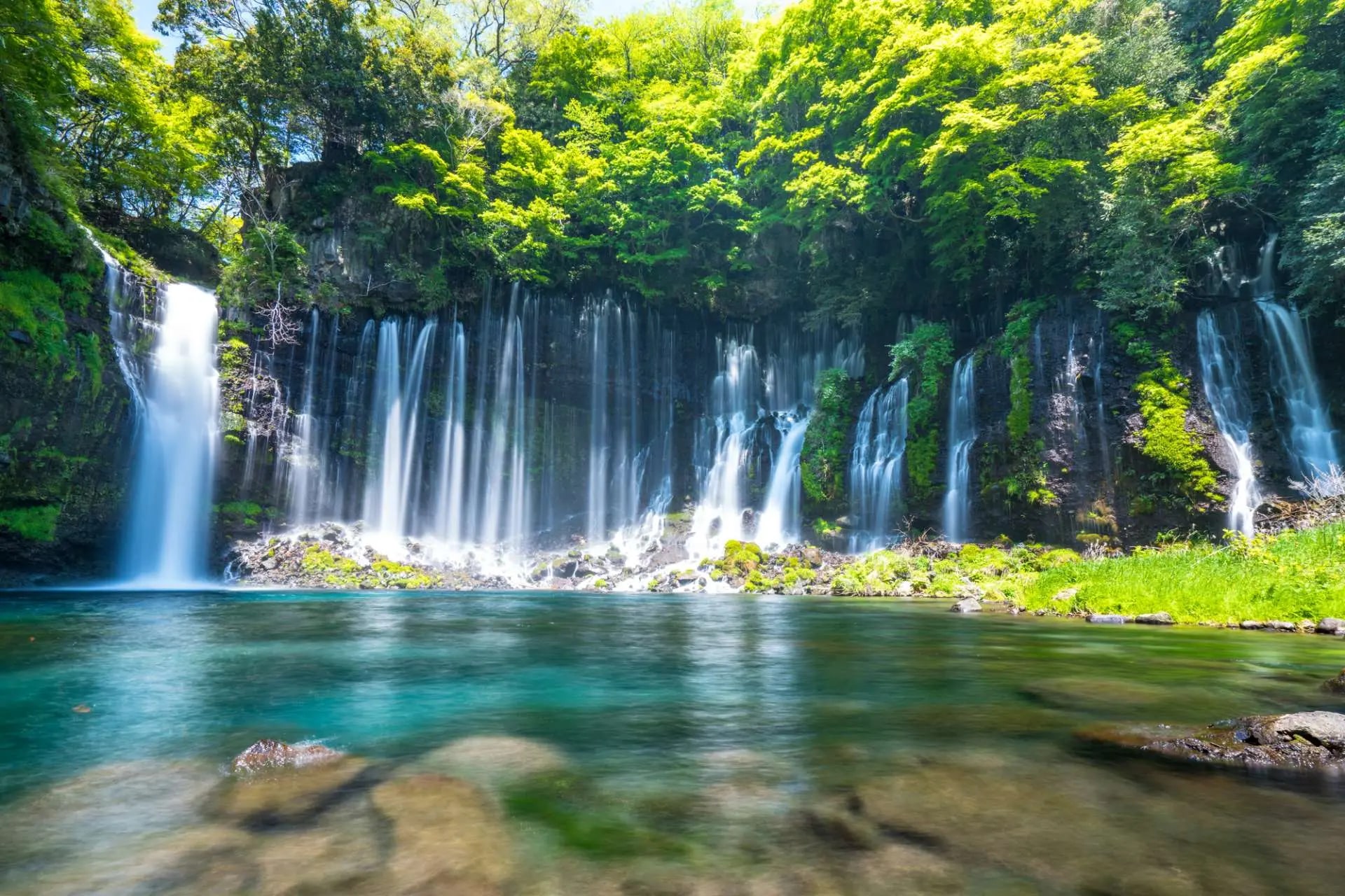 依季節不同而前往不同景點:夏季探訪白絲瀑布,感受瀑布飛瀉的清涼氣息;秋季則走進雷山千如寺,滿山紅葉映襯著莊嚴的千手觀音,體驗日本四季之美。 依季節不同而前往不同景點:夏季探訪白絲瀑布,感受瀑布飛瀉的清涼氣息;秋季則走進雷山千如寺,滿山紅葉映襯著莊嚴的千手觀音,體驗日本四季之美。