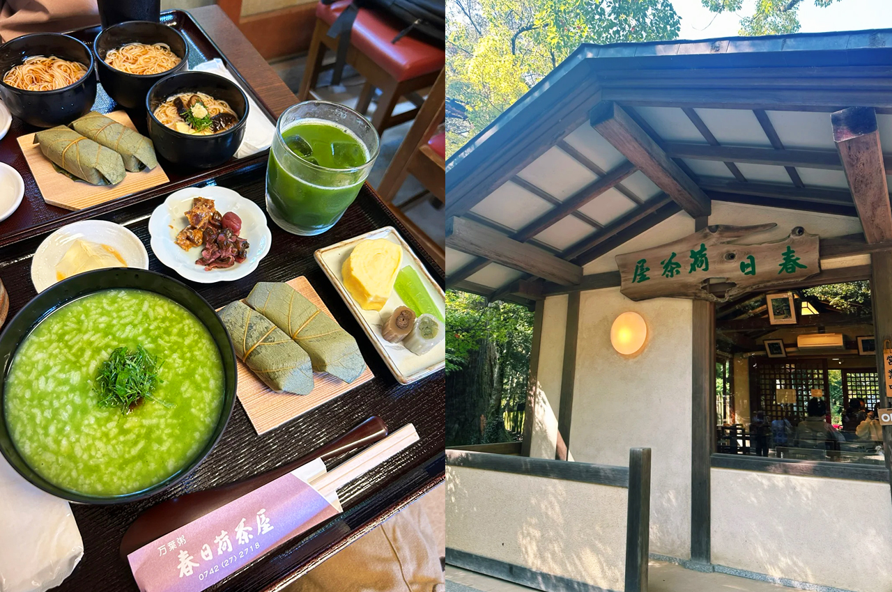 【奈良宇治一日遊】平等院・源氏物語博物館・宇治天然溫泉源氏之湯 ・奈良公園・東大寺・春日大社 | 4-9人小團（可選大阪或京都出發）