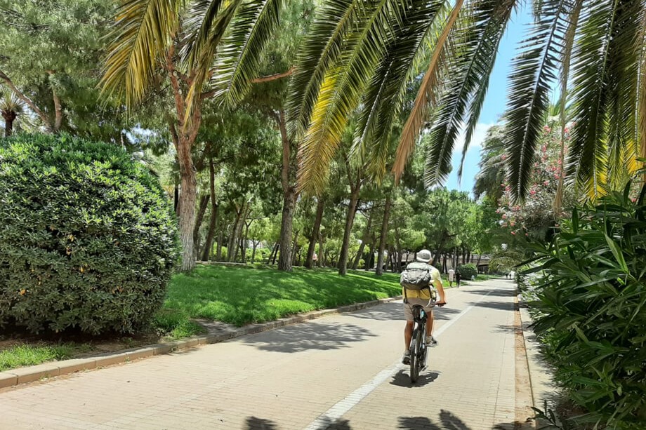 Bike Tour in Valencia