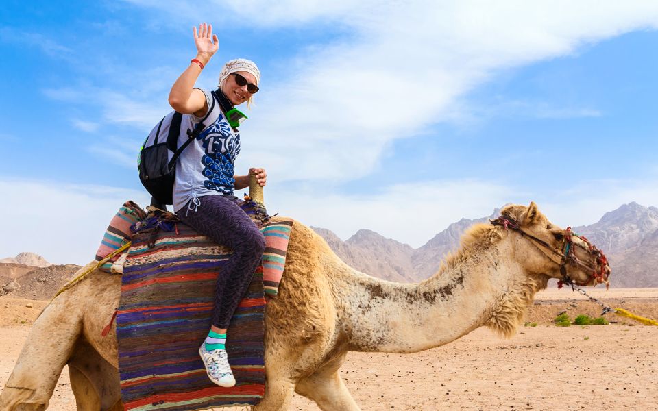 Sahl Hasheesh：全地形車越野之旅、貝都因村和騎駱駝