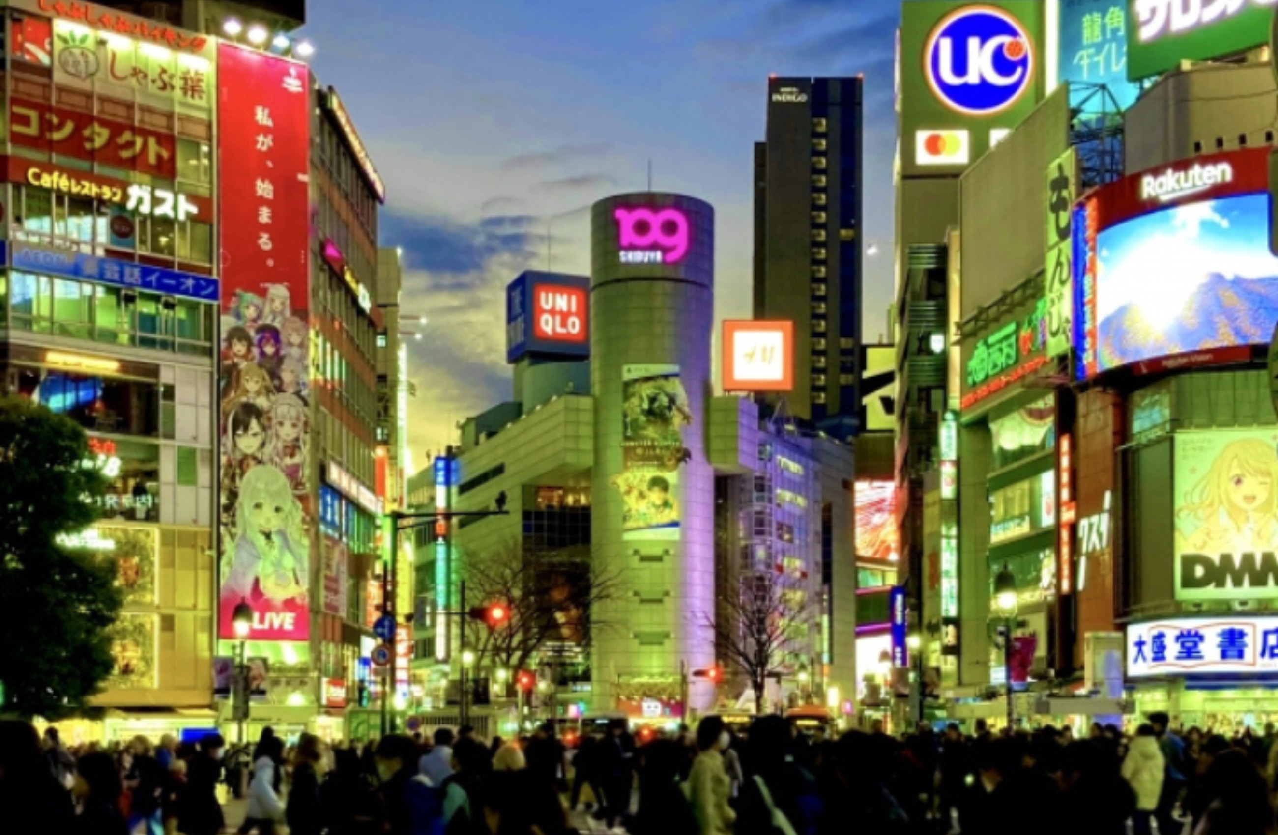 Shibuya 2 Popular Spots Half-Day City Highlights Tour