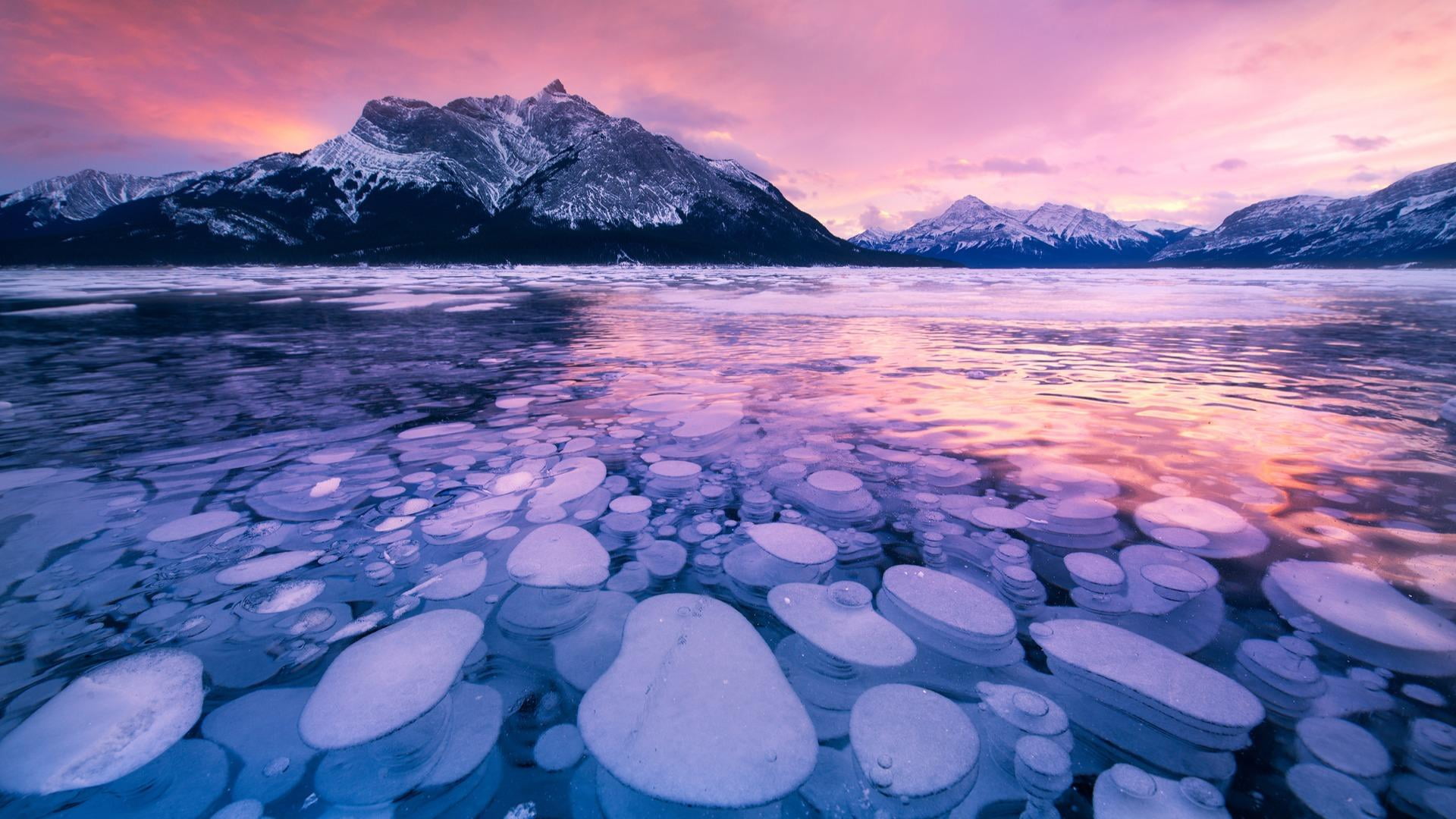 佩託湖和亞伯拉罕湖冰泡之旅 (Peyto Lake & Ice Bubbles at Abraham Lake Frozen Journey)