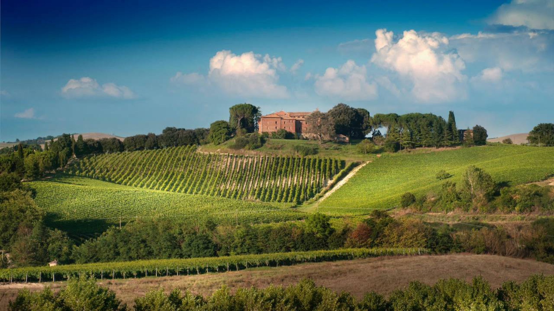 Montalcino Castello Tricerchi Half-Day Small Group Tour with Wine Tasting