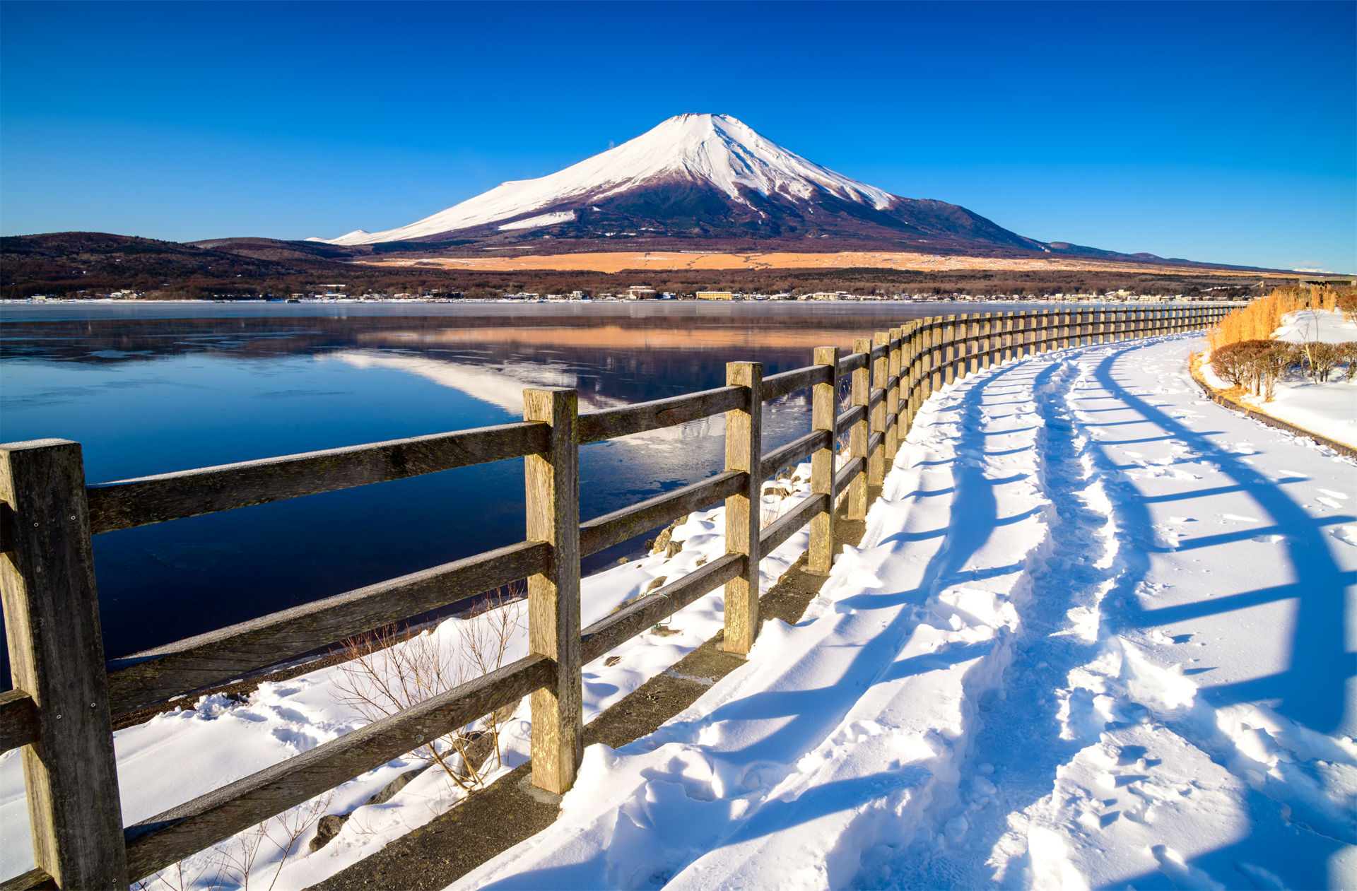 富士山山中湖單車騎行/遊船·忍野八海·河口湖大石公園/楓葉迴廊·新倉山淺間公園/天梯小鎮一日遊｜東京出發｜4~9人精品小團