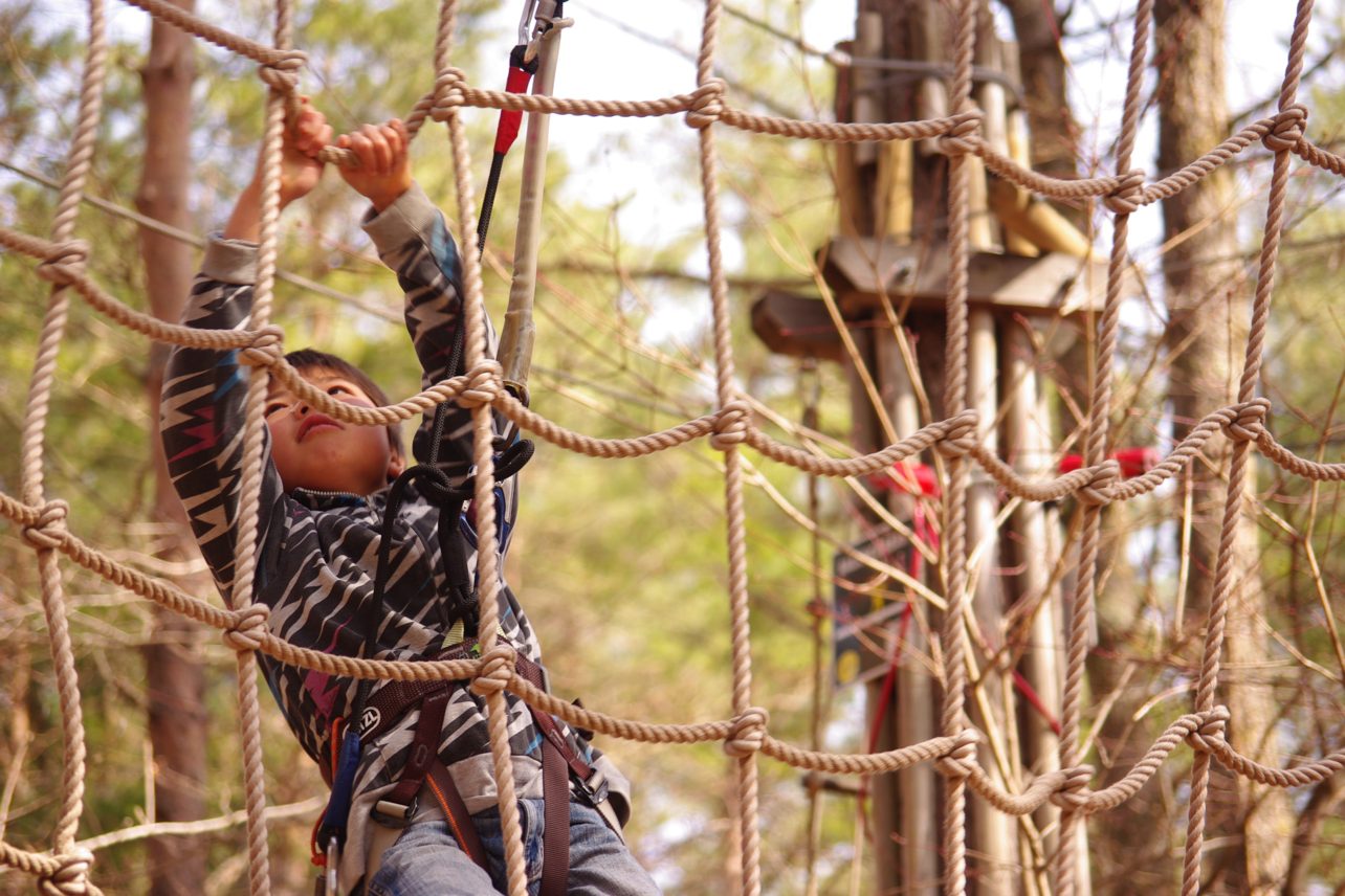 Forest Adventure Experience in Fukuoka