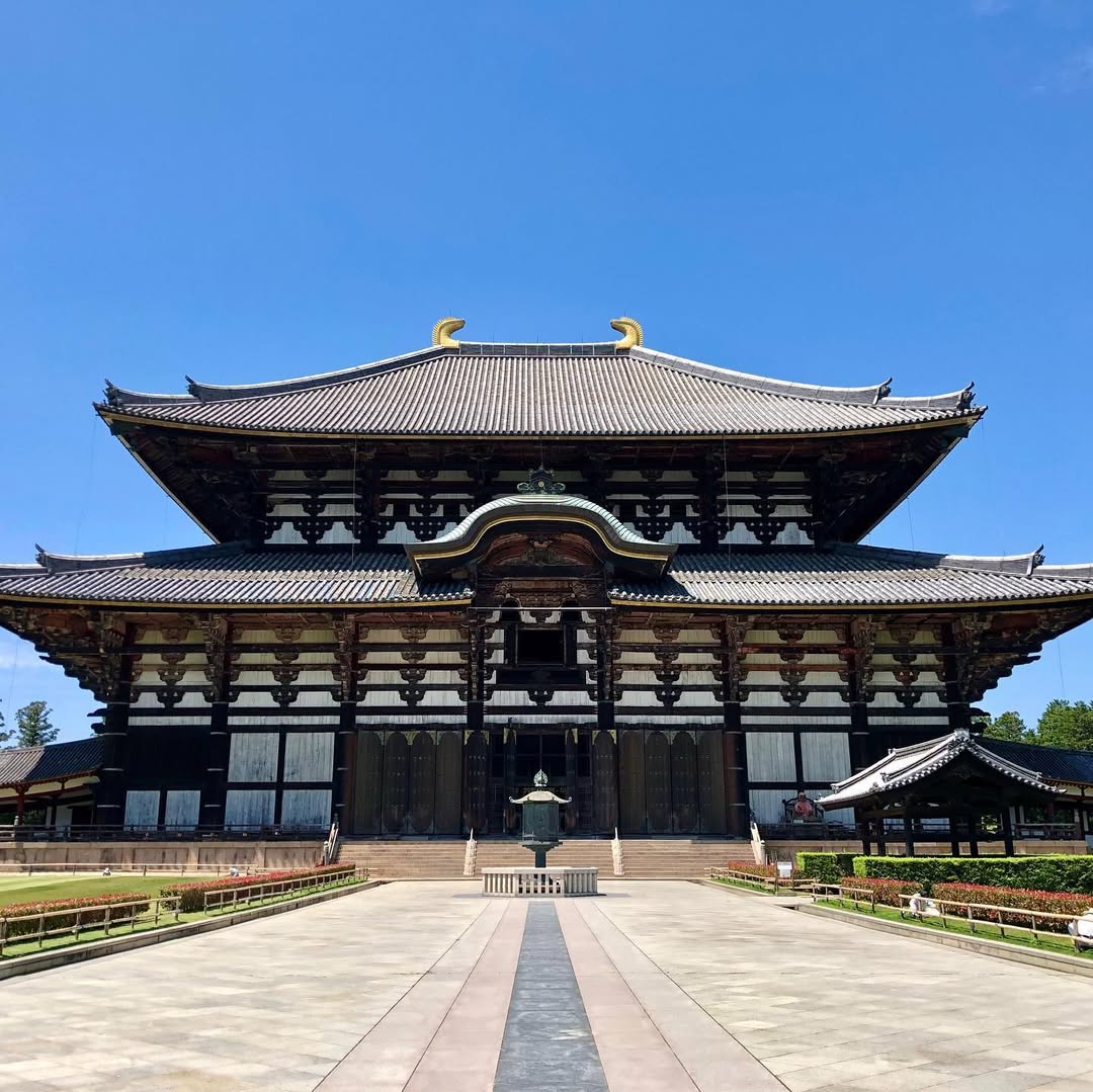 【京都&奈良&宇治一日遊】奈良公園萌鹿&伏見稻荷大社千本鳥居&世界文化遺產東大寺&平等院&宇治抹茶美食街&宇治川&宇治公園&朝霧橋一日遊