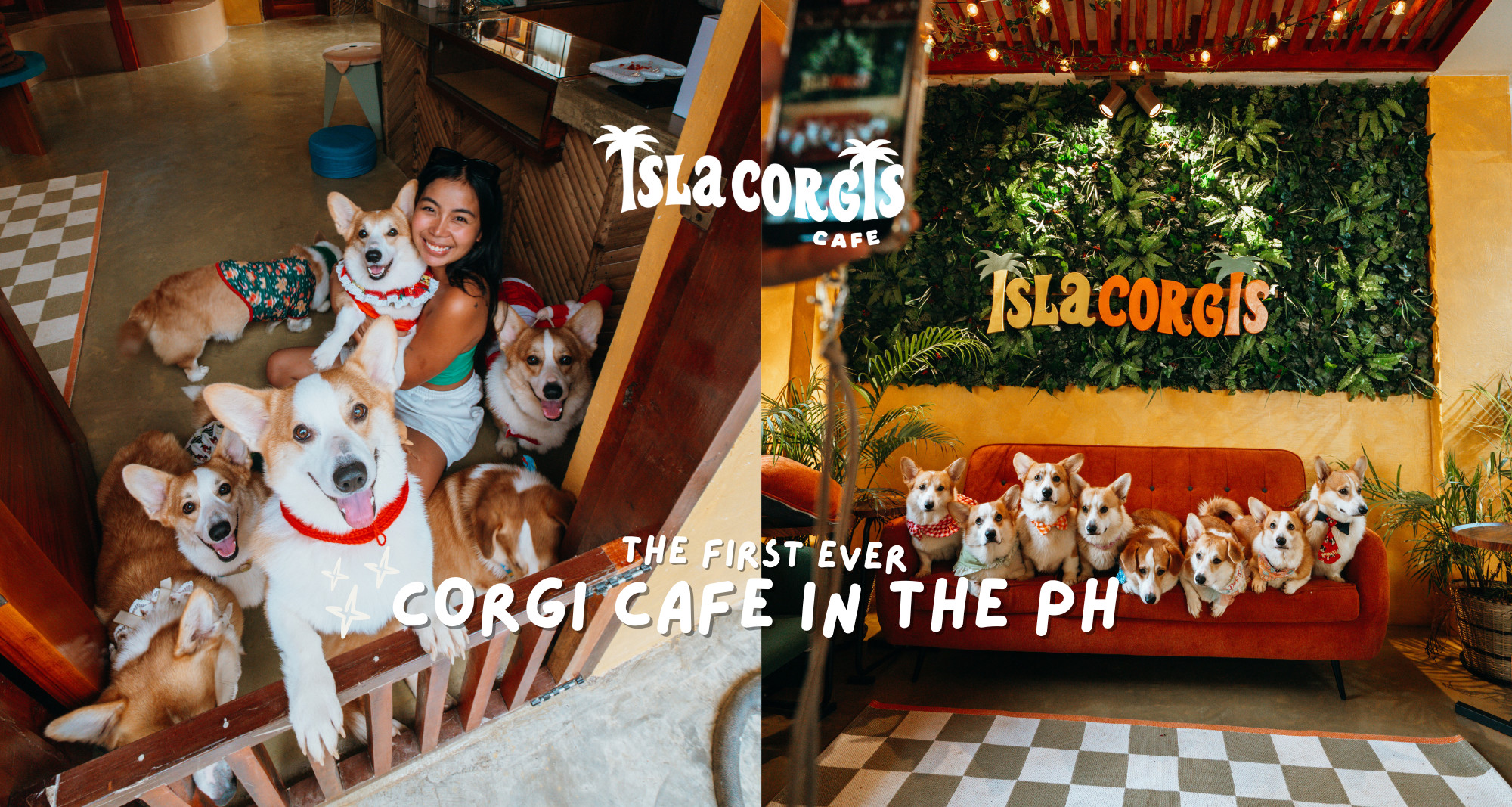 Isla Corgis Cafe Siargao