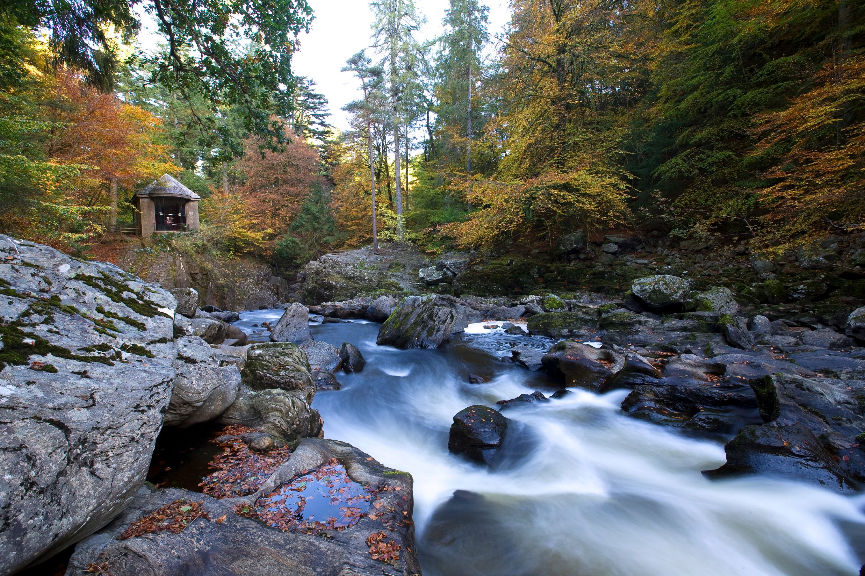Marvel at the natural beauty of the Hermitage waterfall, nestled in Perthshire's tranquil woodlands