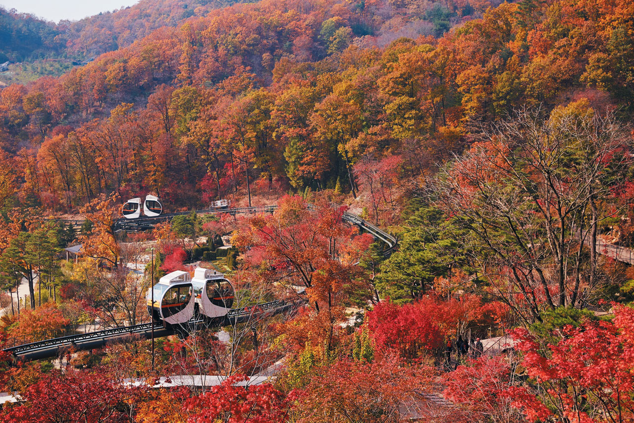 四季皆宜——從櫻花到秋葉，和談林一年四季都擁有令人歎為觀止的美景。