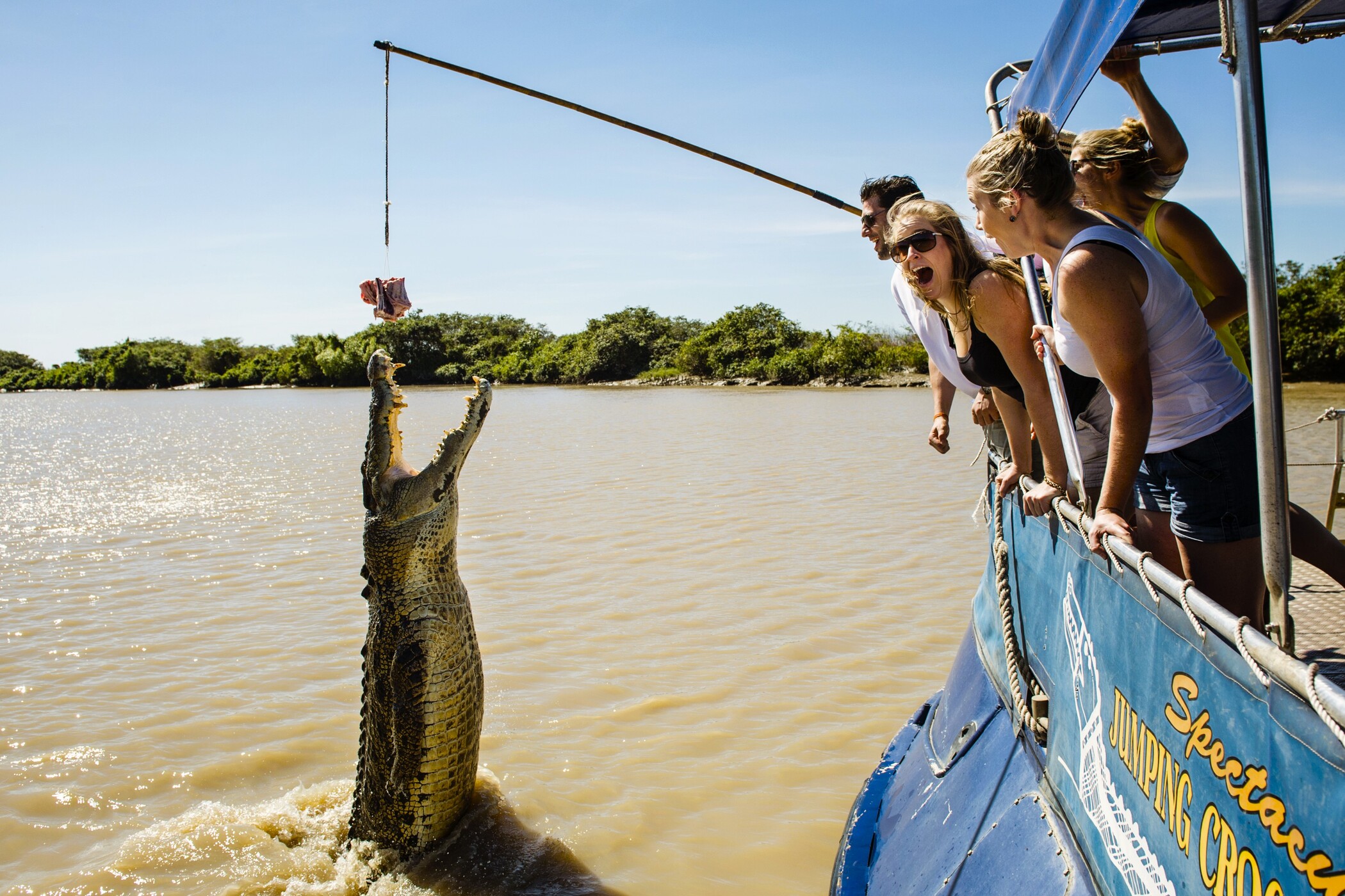 Jumping Crocodile Cruise Tour from Darwin