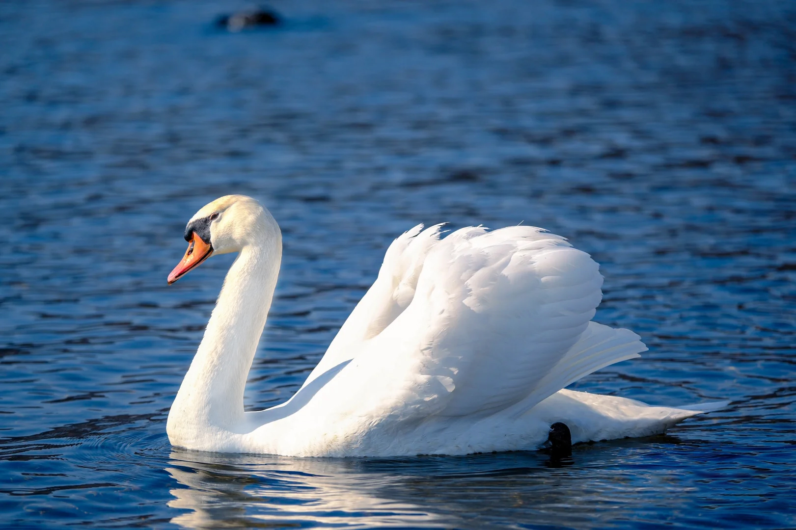 【From Tokyo】One-day tour to Mt. Fuji and Hakone | Cable car experience included | Owakudani volcano wonders | Chinese and English tour guides | Yamanakako swans | Oshino Hakkai beauty | Torii reflections