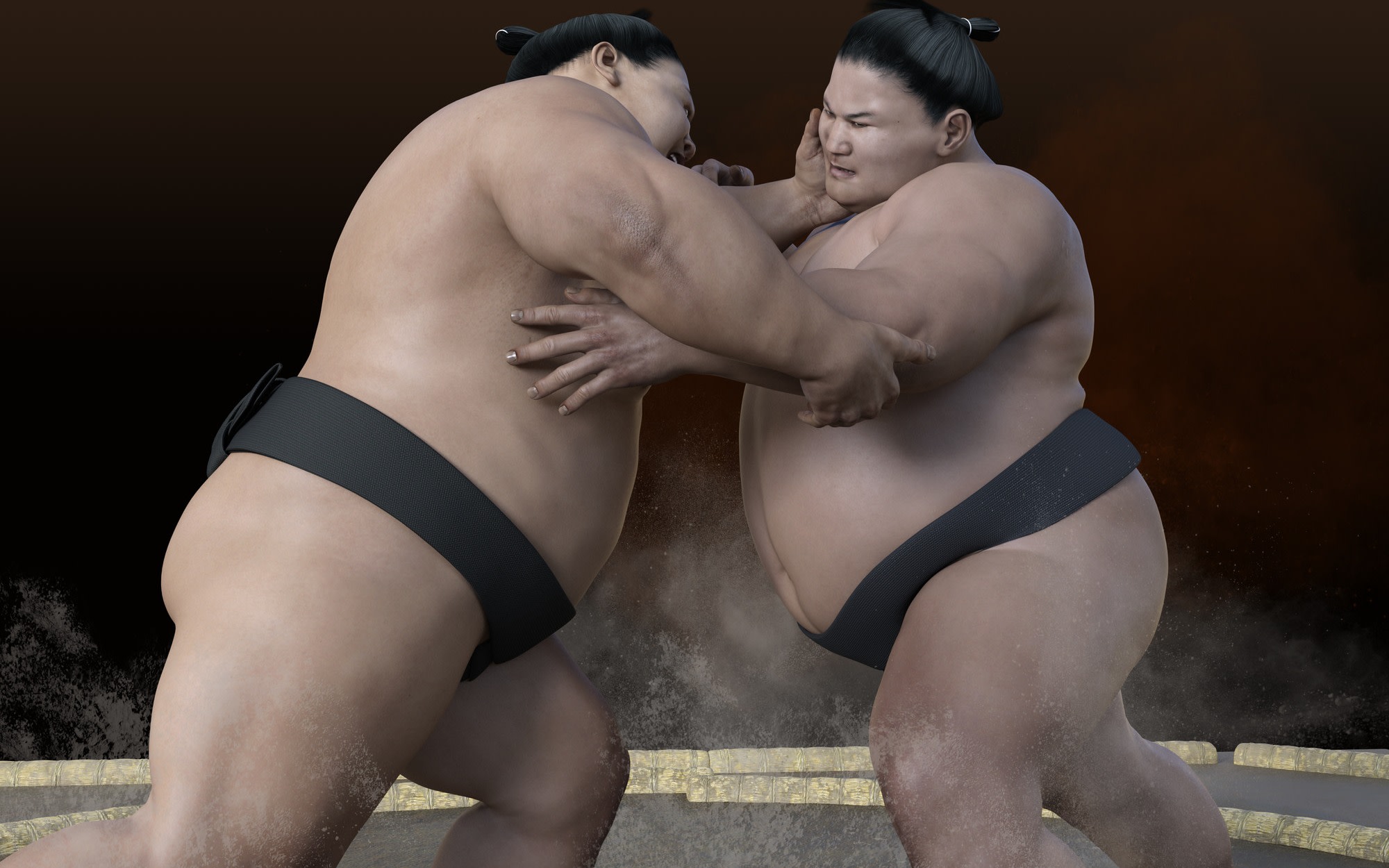 SUMO Show Experience in Osaka–Anime×Ukiyo-e Gallery & Japanese Food