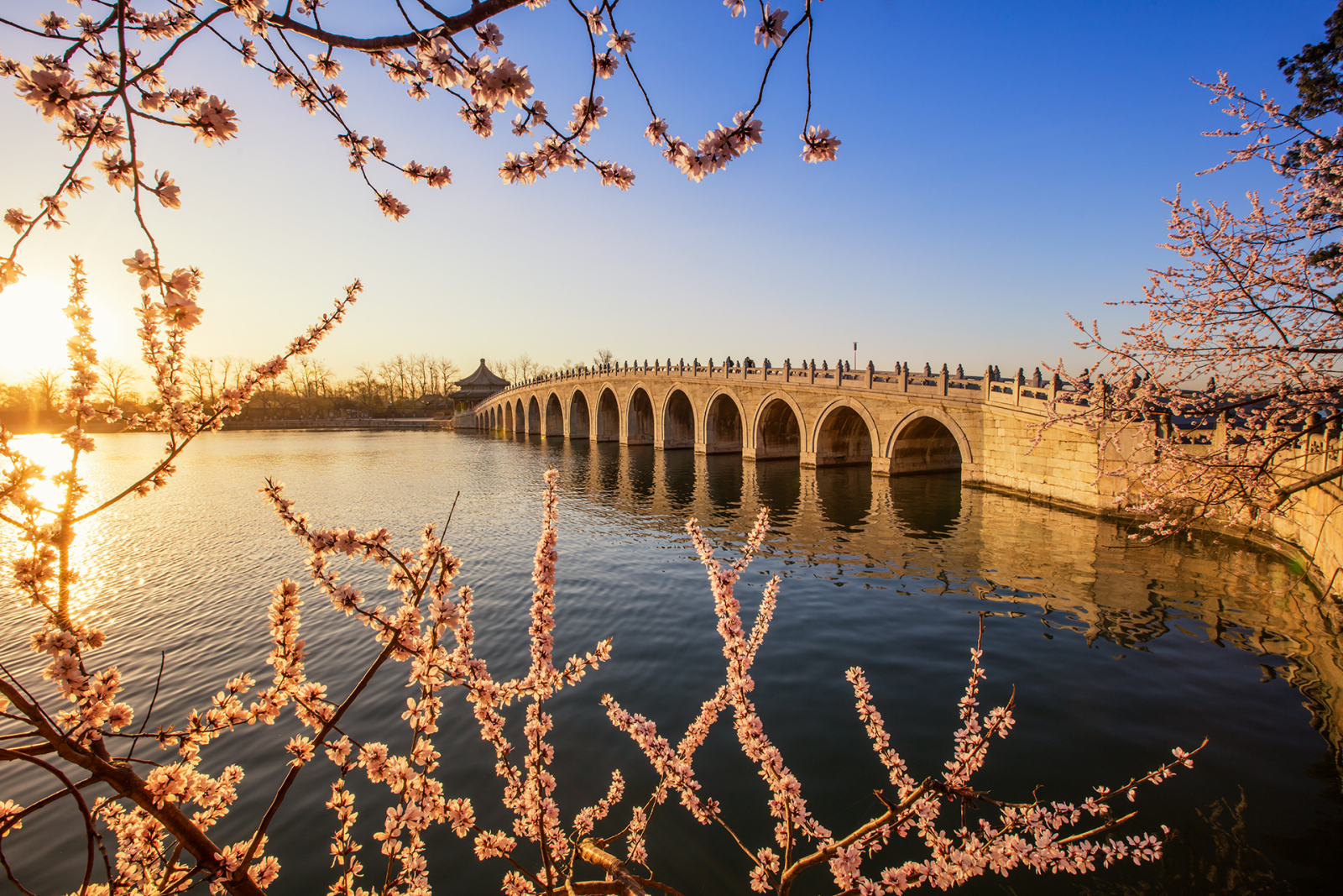 頤和園十七孔橋橫跨昆明湖，橋身石拱在晨光中泛著暖光，前景花枝盛放，湖面波光粼粼，勾勒出春日園林的詩意畫卷