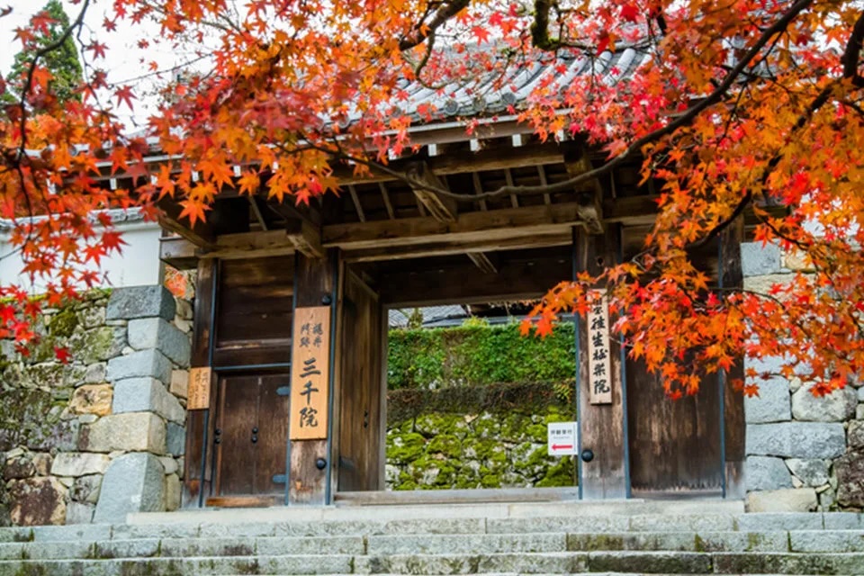 【大阪出發｜京都奈良經典＆山區秘境小團】伏見稻荷・奈良公園 or 嵐山・三千院・貴船神社 雙方案可選