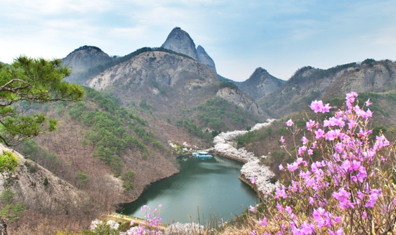 Jeonju Maisan Mountain Cherry Blossom Day Tour
