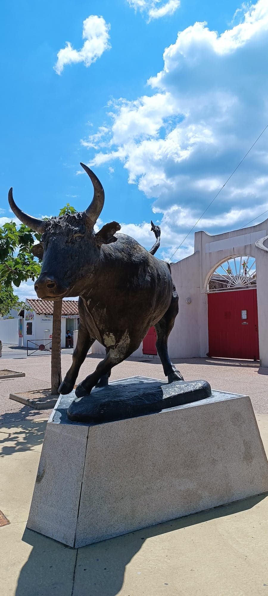 遊覽羅馬小鎮阿爾勒、卡馬格國家公園（由當地導遊陪同）