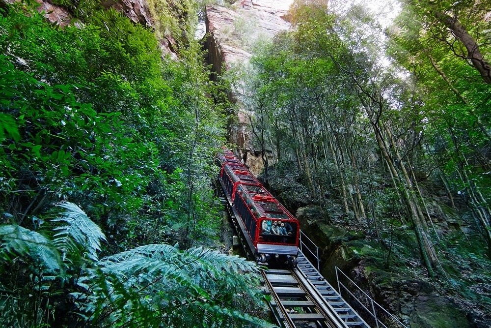 藍山國家公園之旅（悉尼出發）