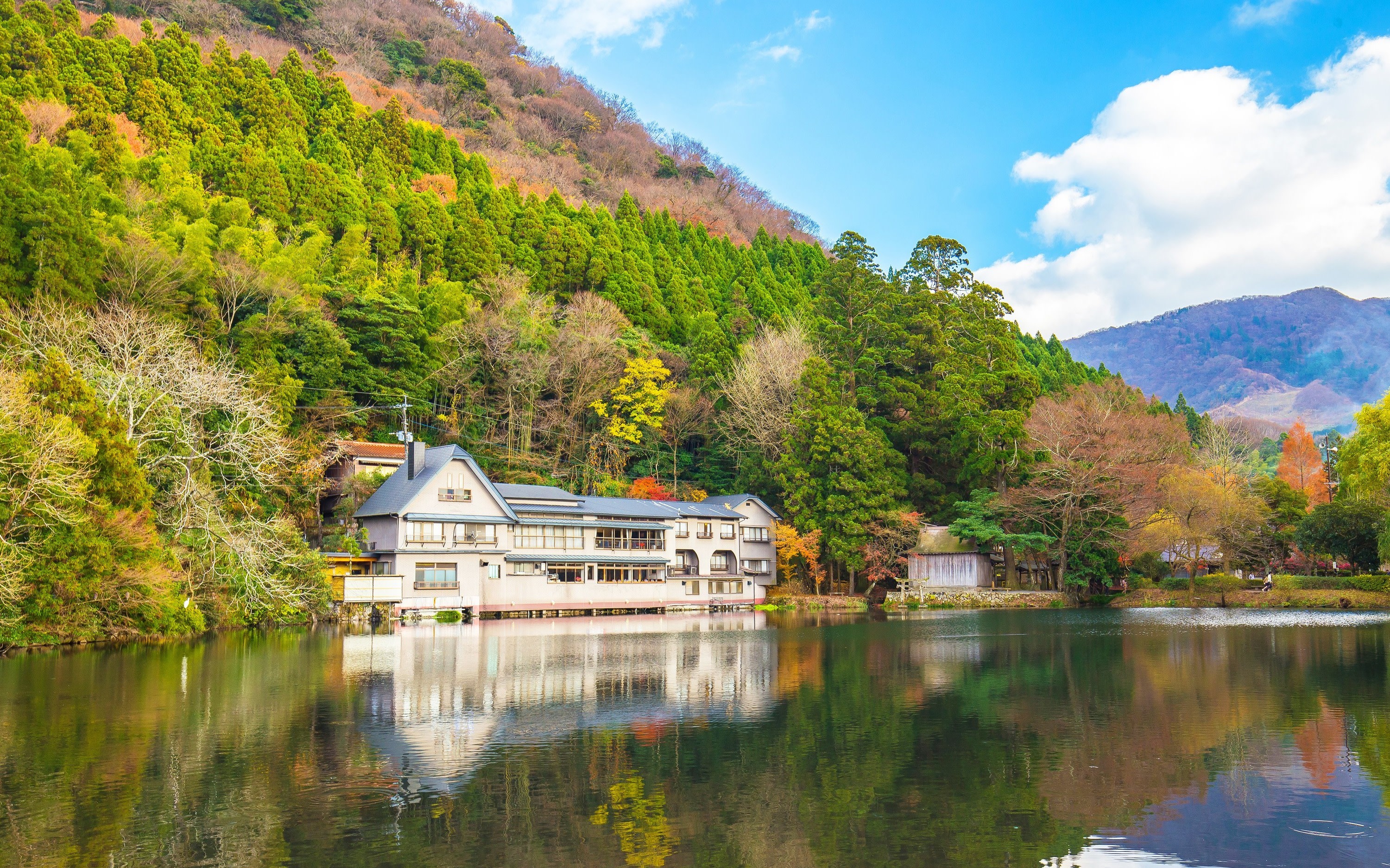 [Fukuoka Departure] Dazaifu, Yufuin, & Beppu Kamado Hell 
