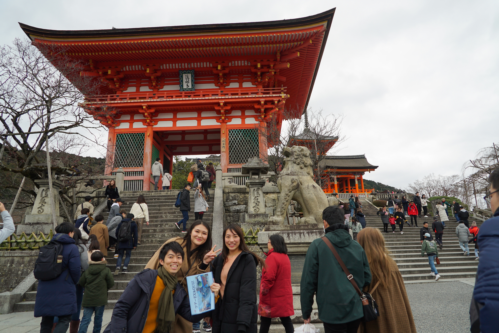 京都茶道 & 清水寺徒步之旅