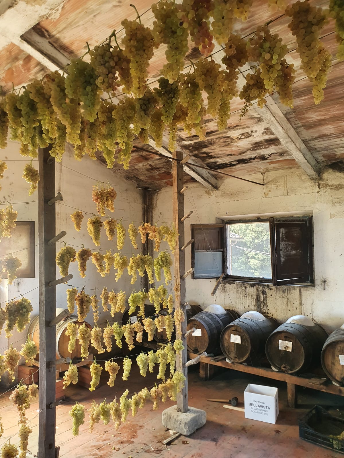 Tuscan Bites & Sips: Discover Tuscany Through Wine