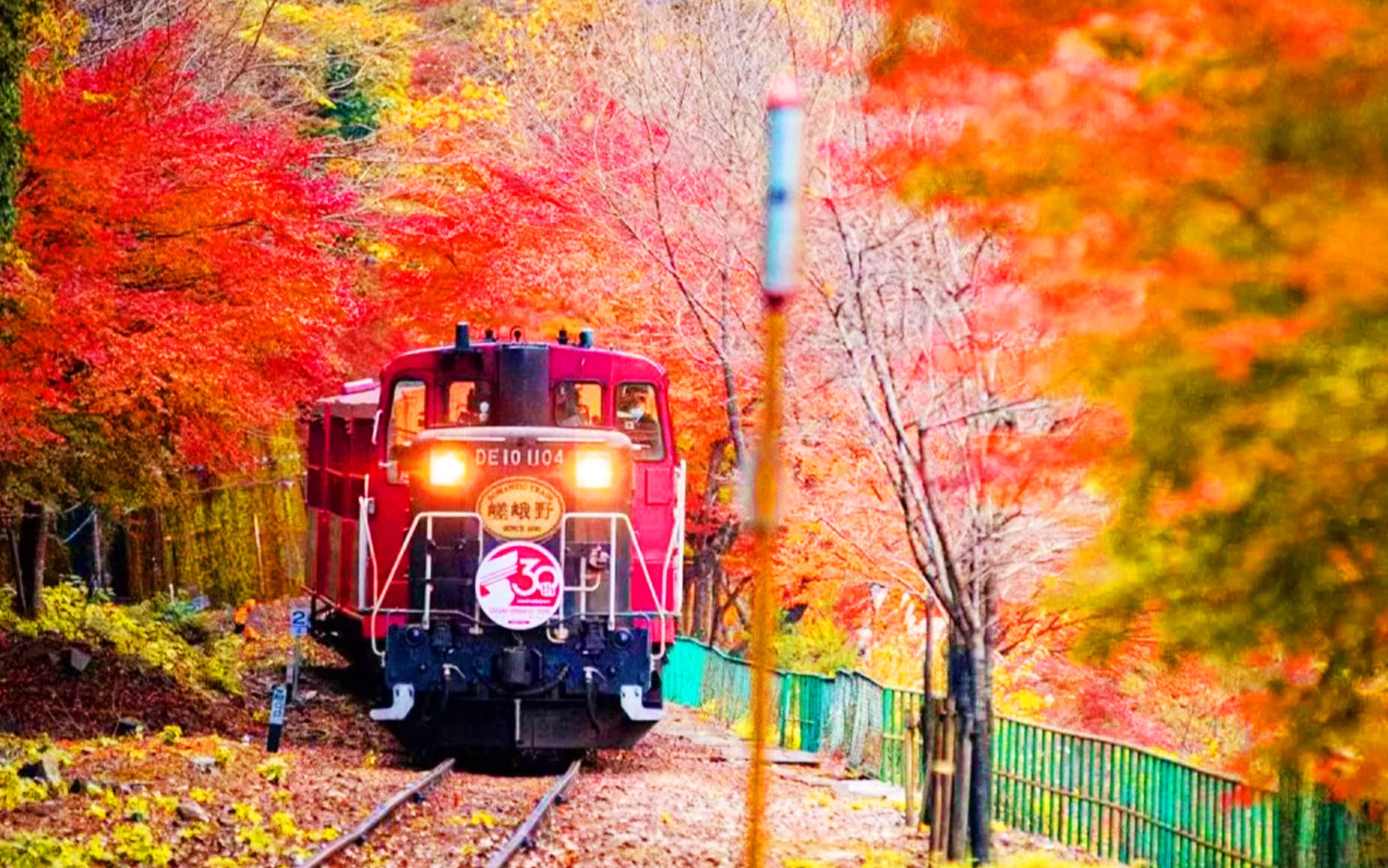 Kyoto Arashiyama: Sagano Scenic Railway (Optional) & Sanzen-in Temple Day Trip | Depart from Osaka/Kyoto