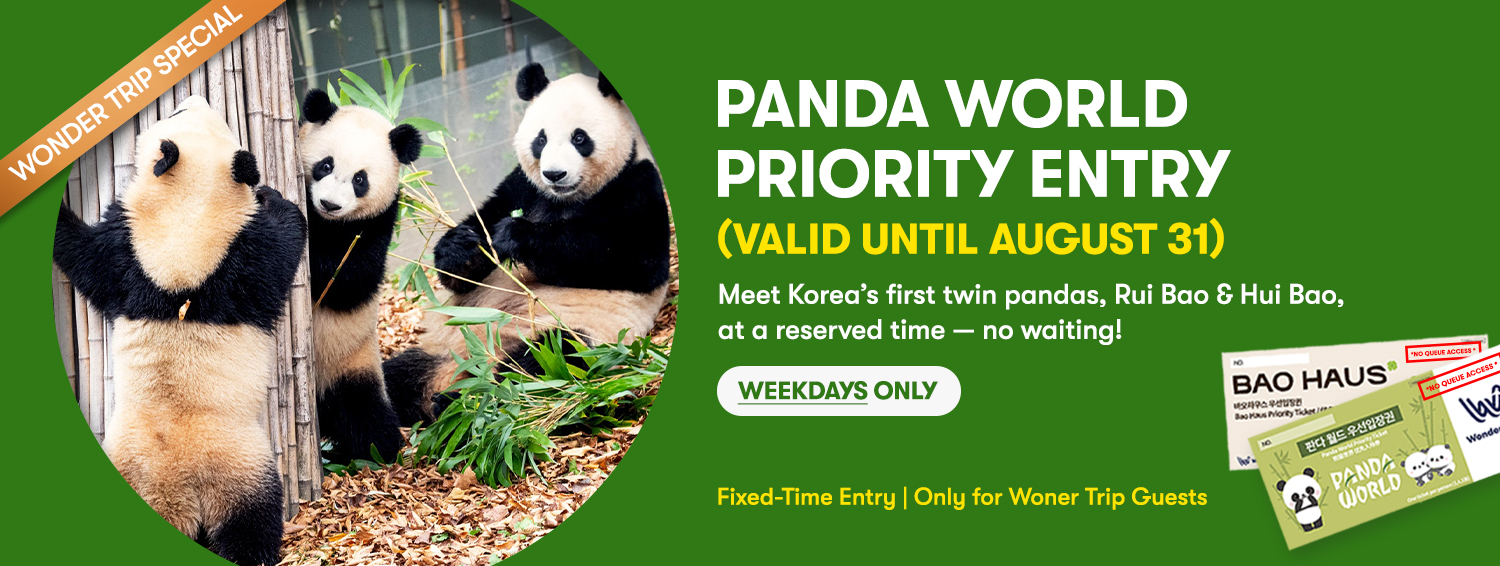 Everland Day Tour: Priority Entry (Till 30/4) + Optional Meal Coupon
