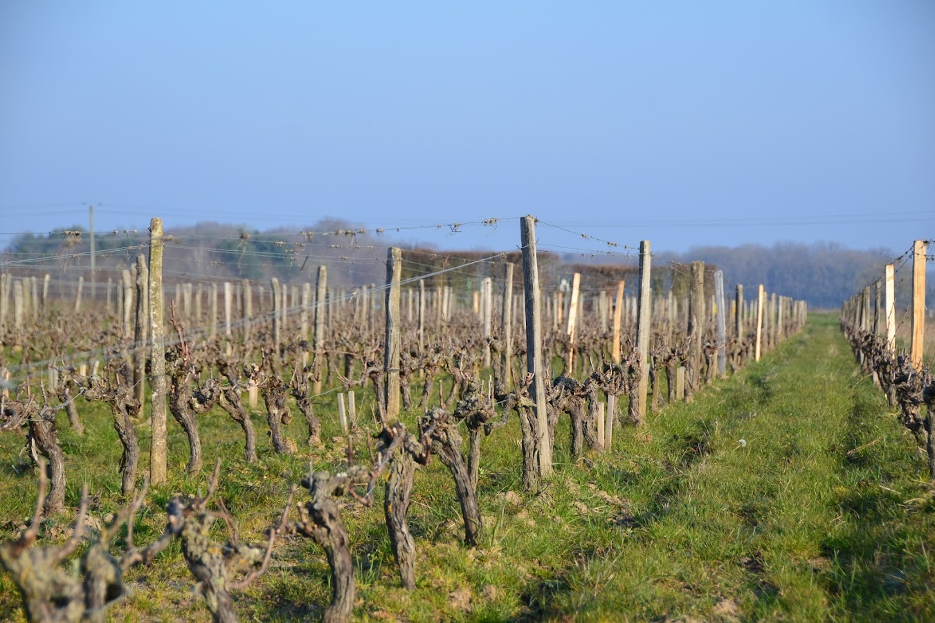 vinery farm