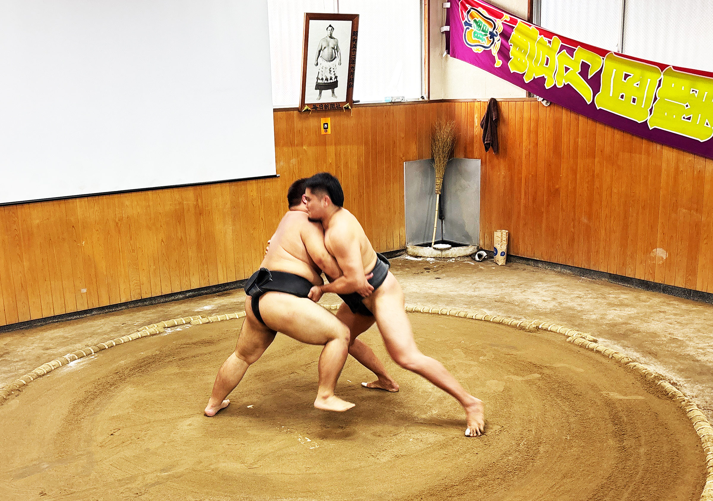 東京：相撲體驗，觀看現場表演並參與觀眾挑戰