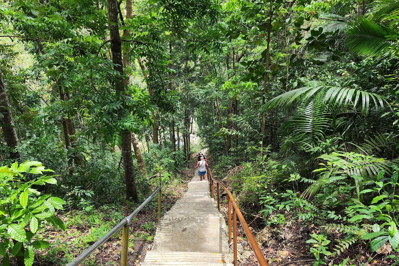 Napaling Sardines Run with Hinagdanan Cave Tour