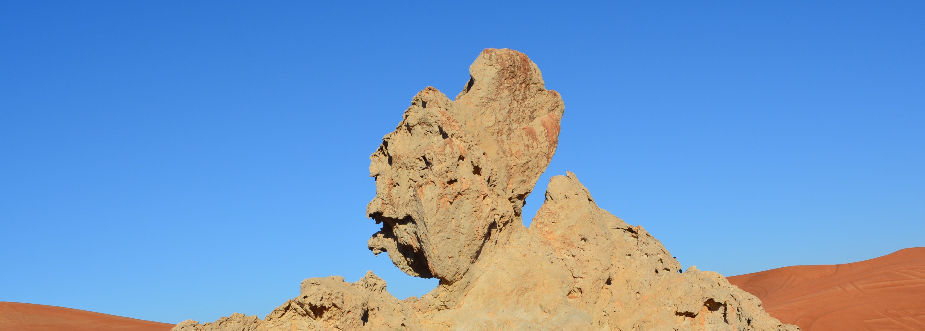 Hatta Safari with Honey Bee Garden visit