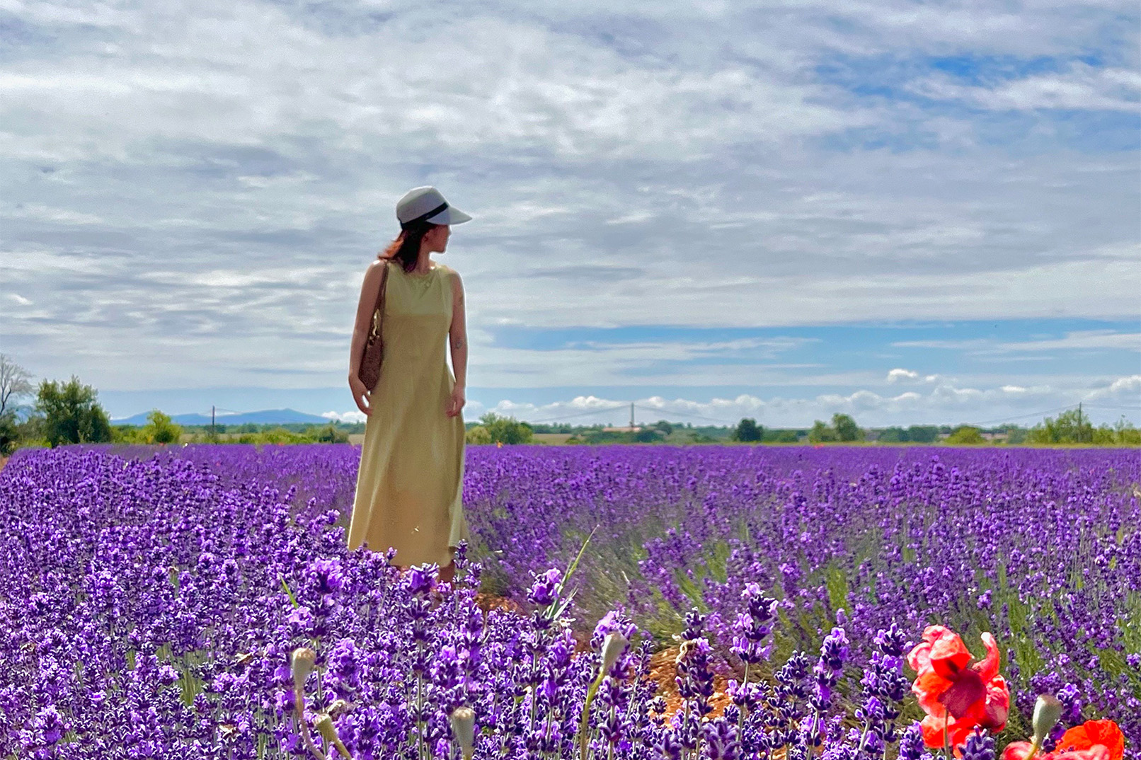[Korean Guide] [Southern Tour] Valensole + Verdon + Moustiers (Departure from Nice/Small Group)