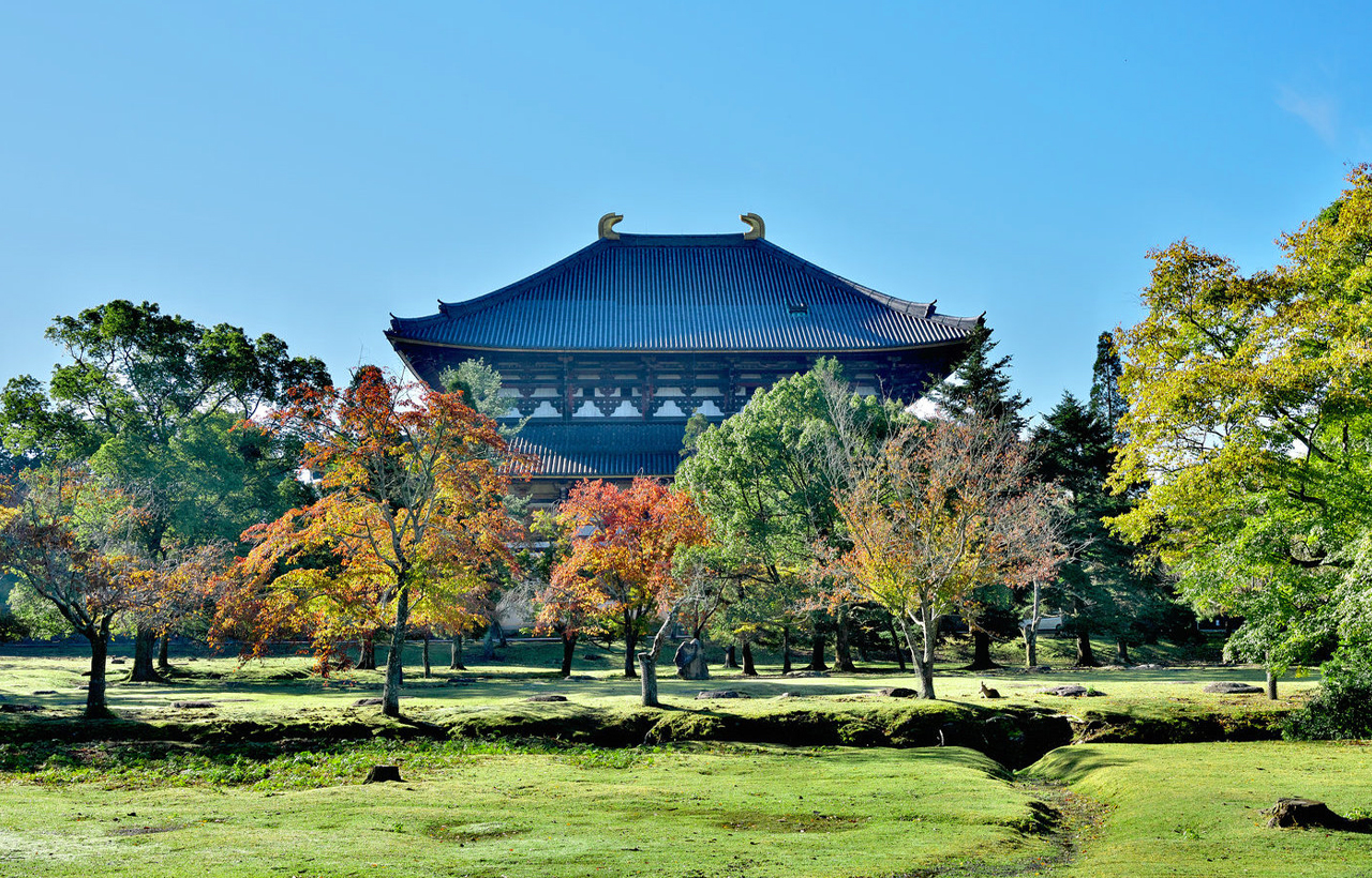 【奈良宇治一日遊】平等院・源氏物語博物館・宇治天然溫泉源氏之湯 ・奈良公園・東大寺・春日大社 | 4-9人小團（可選大阪或京都出發）