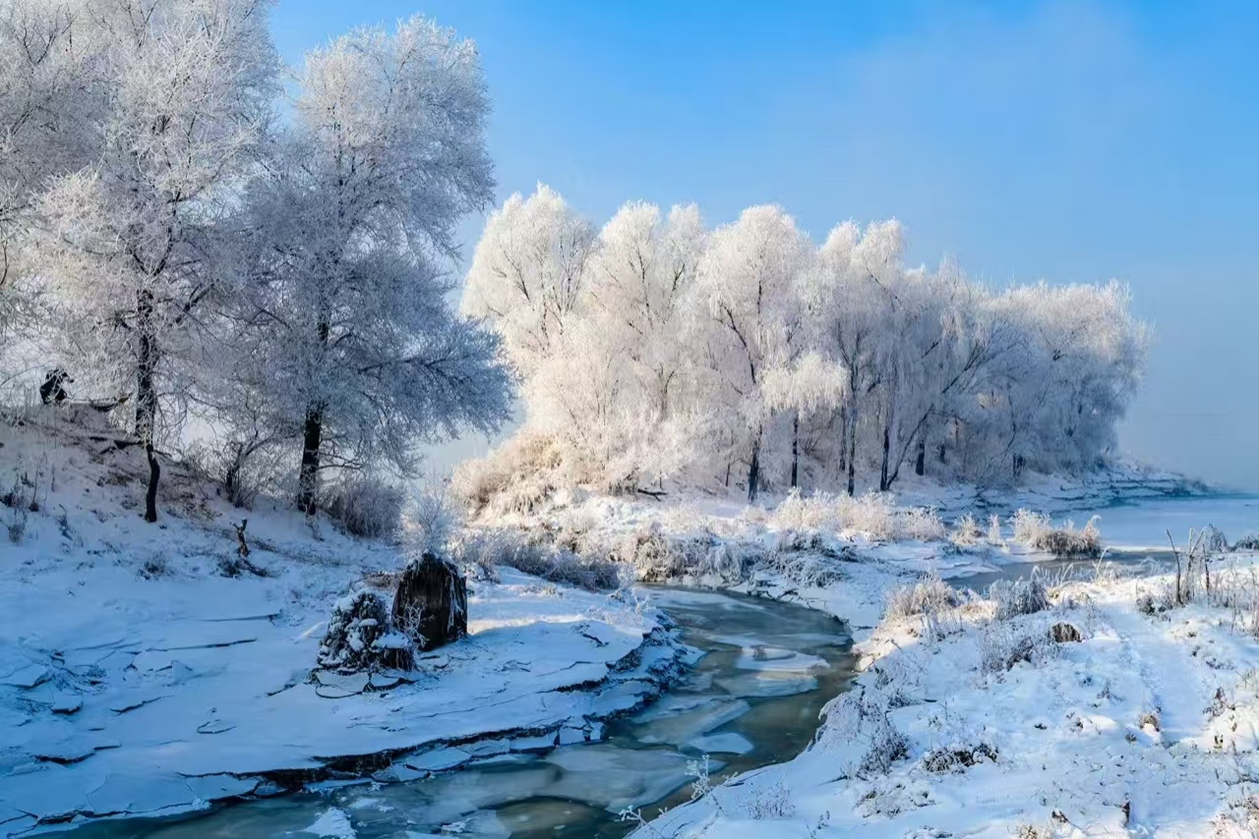 霧凇溪谷:銀樹環伺著未全凍的溪流,冰裂紋與雪色交織,清冷裡藏著細流的鮮活,是冬日的靜美小調 霧凇溪谷:銀樹環伺著未全凍的溪流,冰裂紋與雪色交織,清冷裡藏著細流的鮮活,是冬日的靜美小調