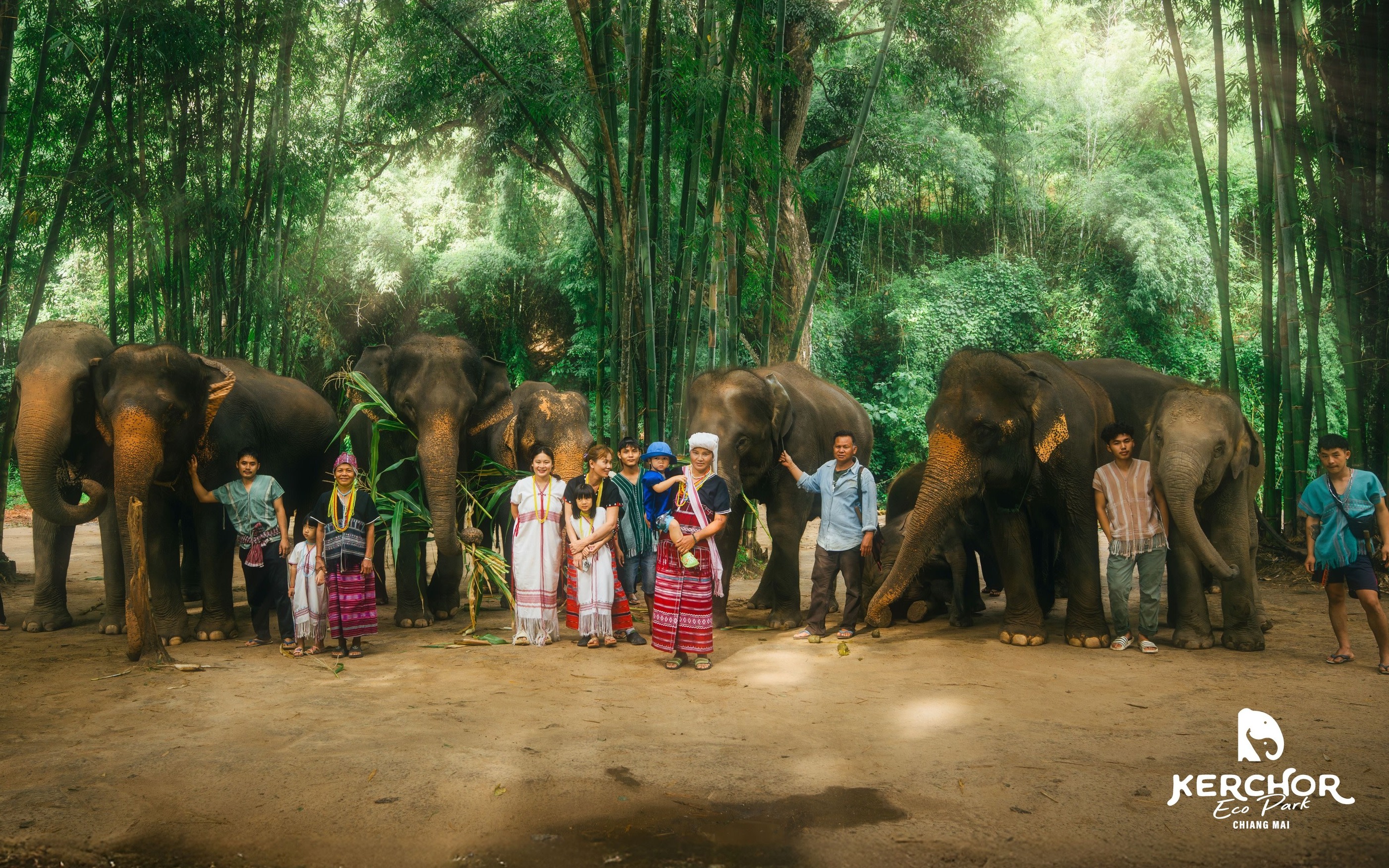 Chiang Mai Kerchor Elephant Eco Park Tour (from Chiang Mai)