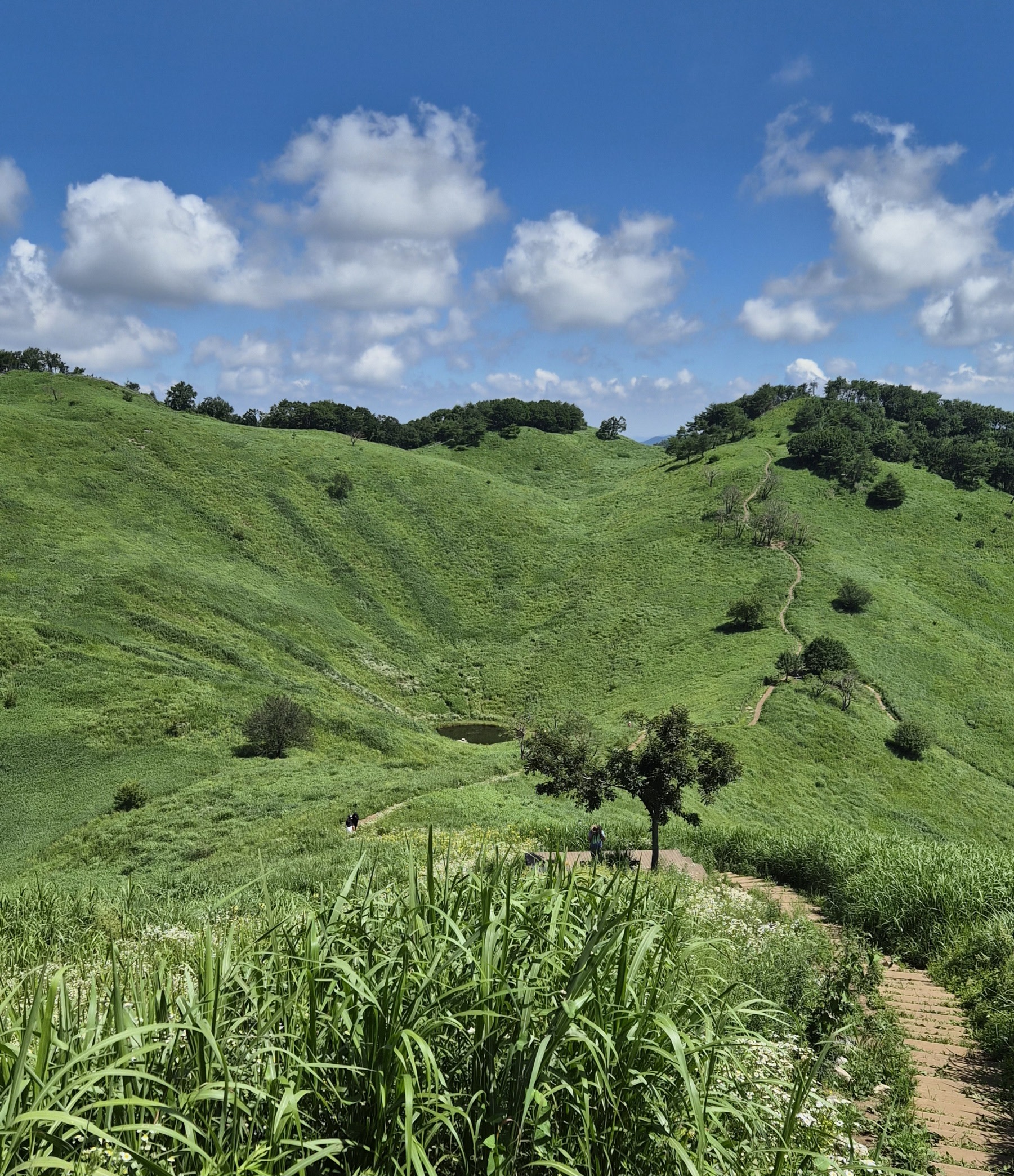 Mindungsan & Byeongbangchi Observatory Full-Day Private Hiking Experience