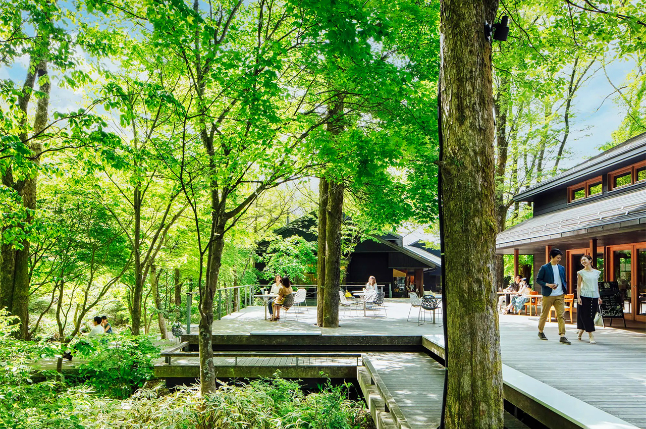 小眾度假聖地：輕井澤一日遊 ｜輕井澤奧特萊斯或星野度假區之雲場池*星野溫泉 + 川越小江戶+冰川神社 |東京出發