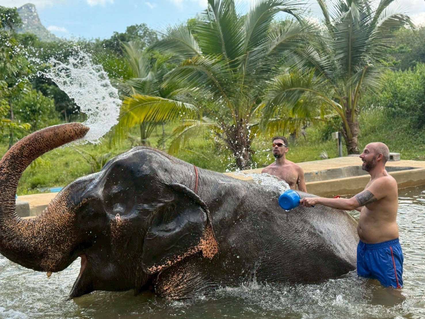 Elephant Care & ATV Jungle Adventure Experience in Krabi