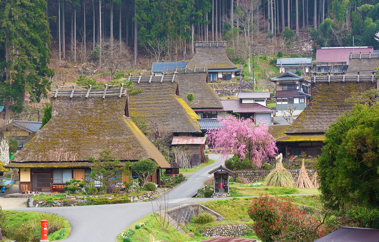 [Kyoto's Secret Gassho Village] Visit the Thatched Houses of Miyama Gassho Village + Amanohashidate Spectacular View + Ine Funaya Fishing Port + Funaya Days (Departing from Osaka)