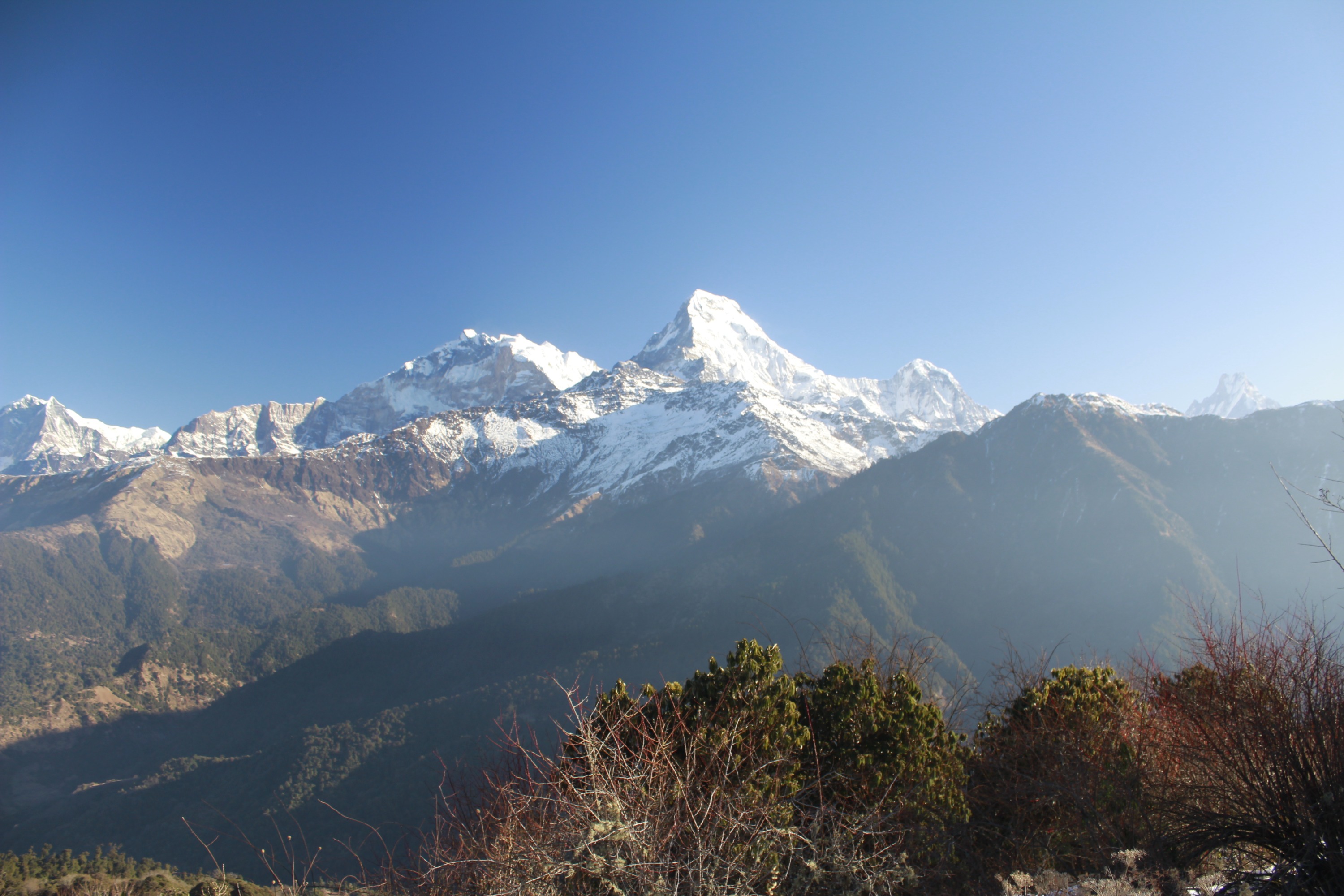 From Pokhara: 4 Days Poon Hill Trek