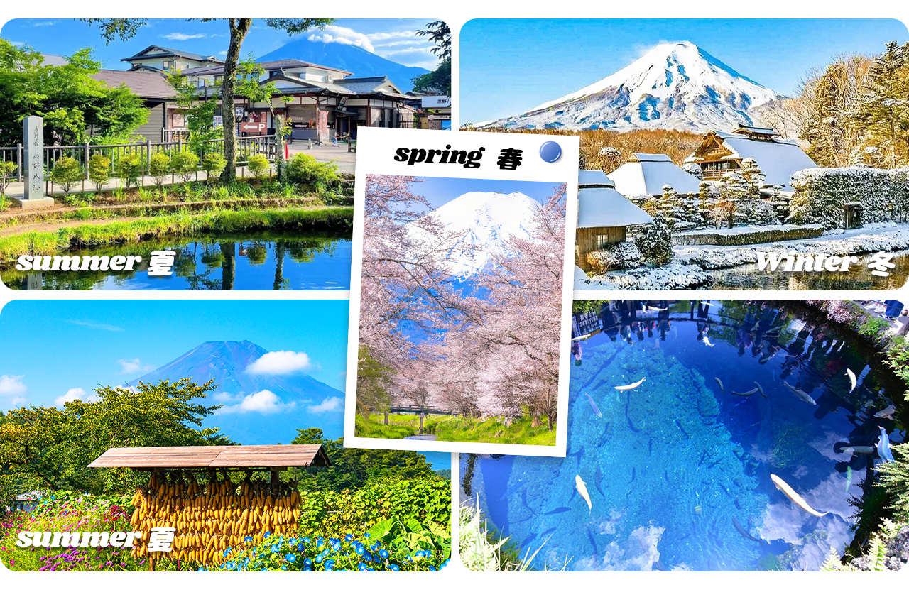 池水碧藍透明，倒映富士山美景，四季風光各具魅力，是攝影愛好者與遊客必訪之地。