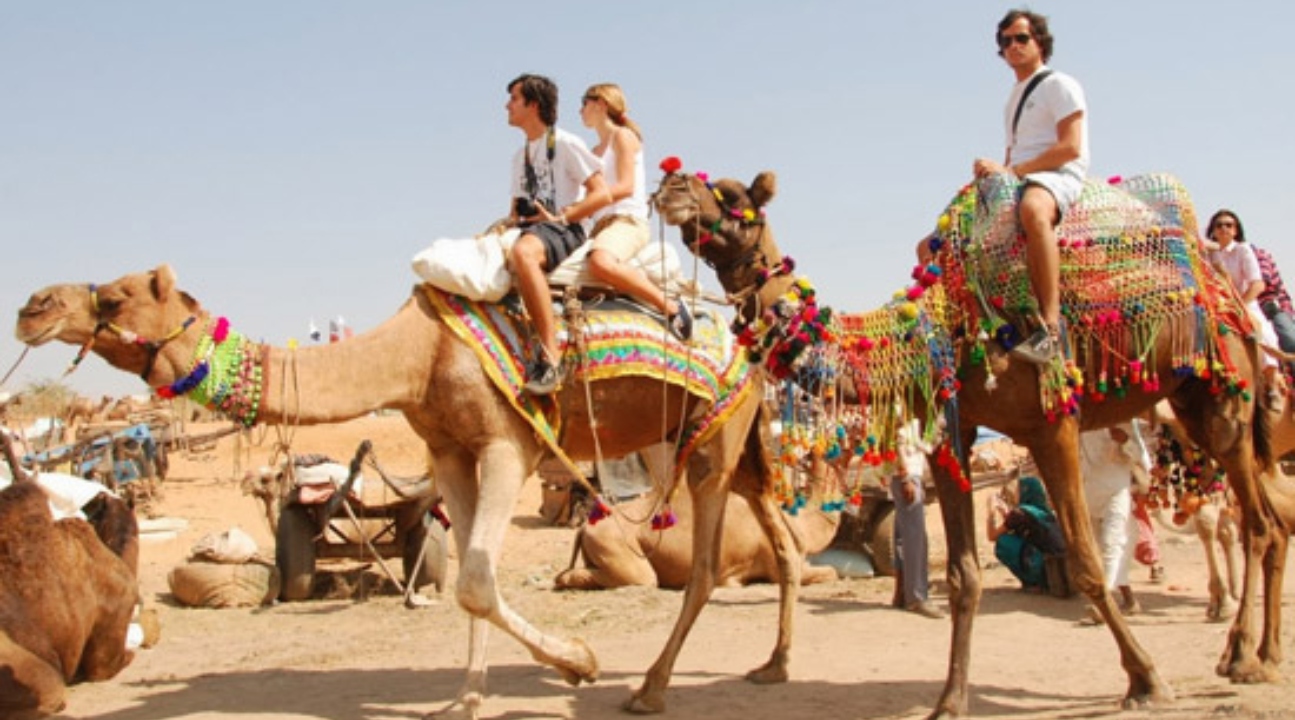 [SALE] 12% Off on Pushkar Camel Safari with Overnight Desert Camping ...