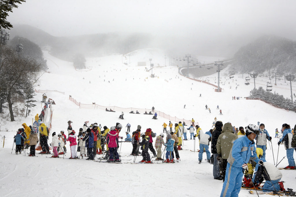 It is recommended to purchase accident/travel insurance by yourself before participating in this activity. This product does not include any insurance items.