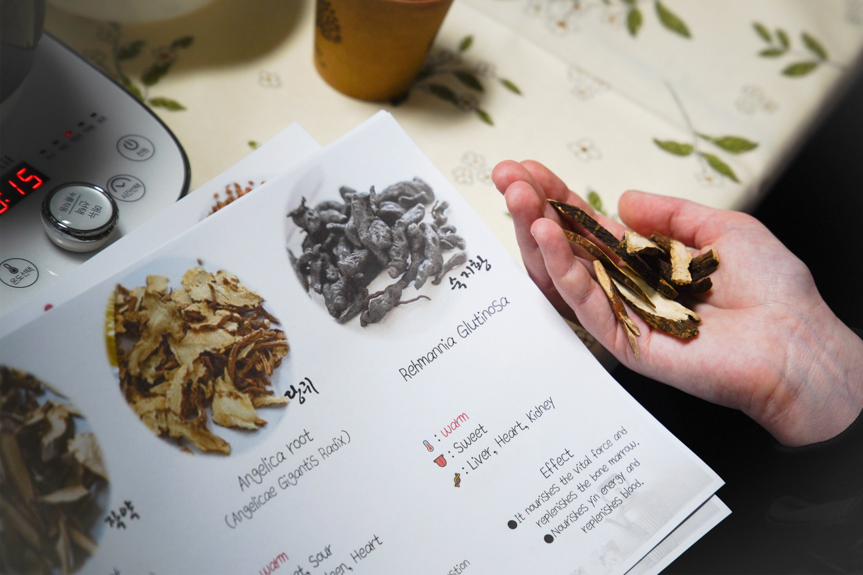 首爾50種草藥和東方醫學課程